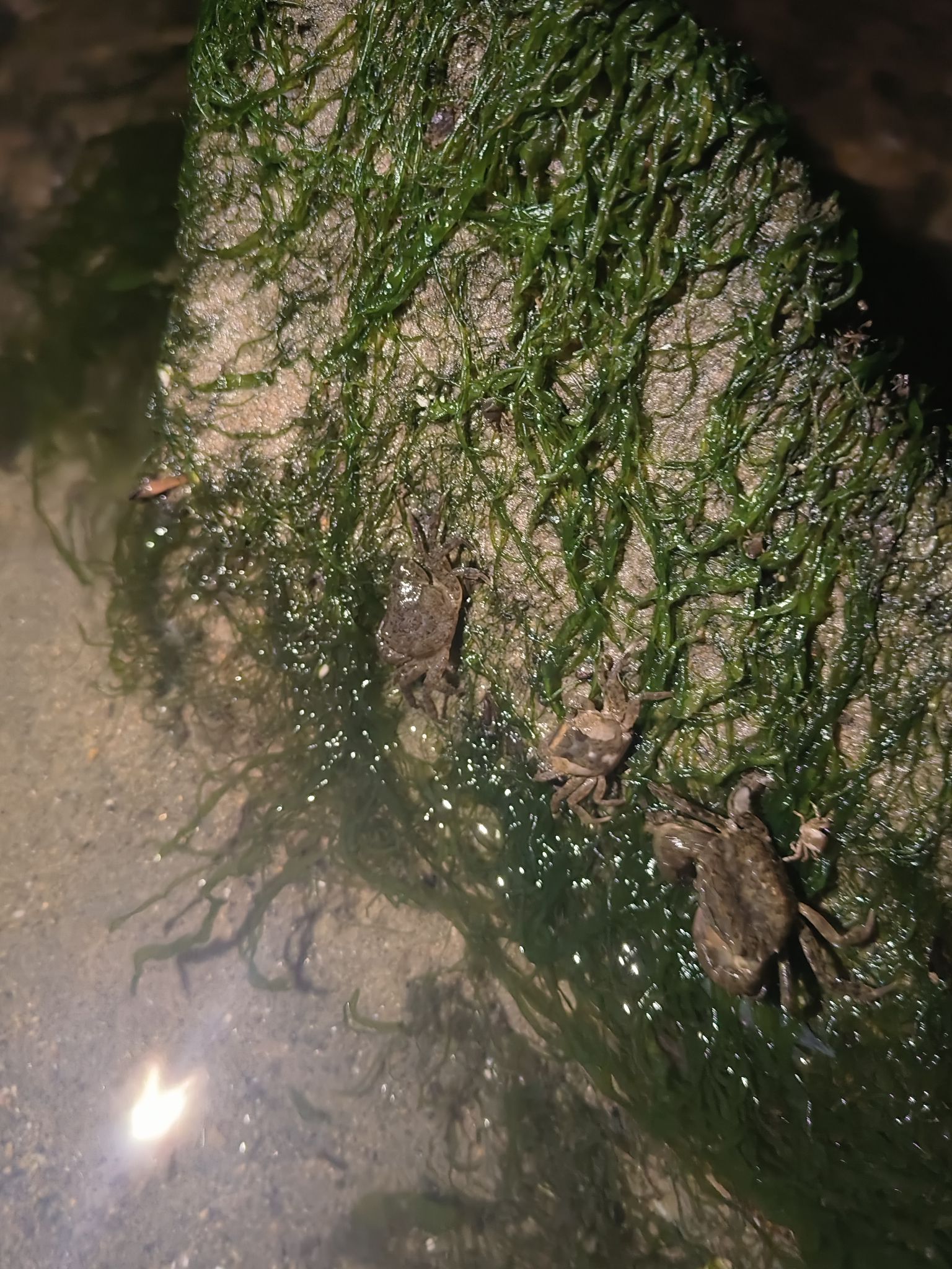 逛荡河绿地公园旅行图片 3