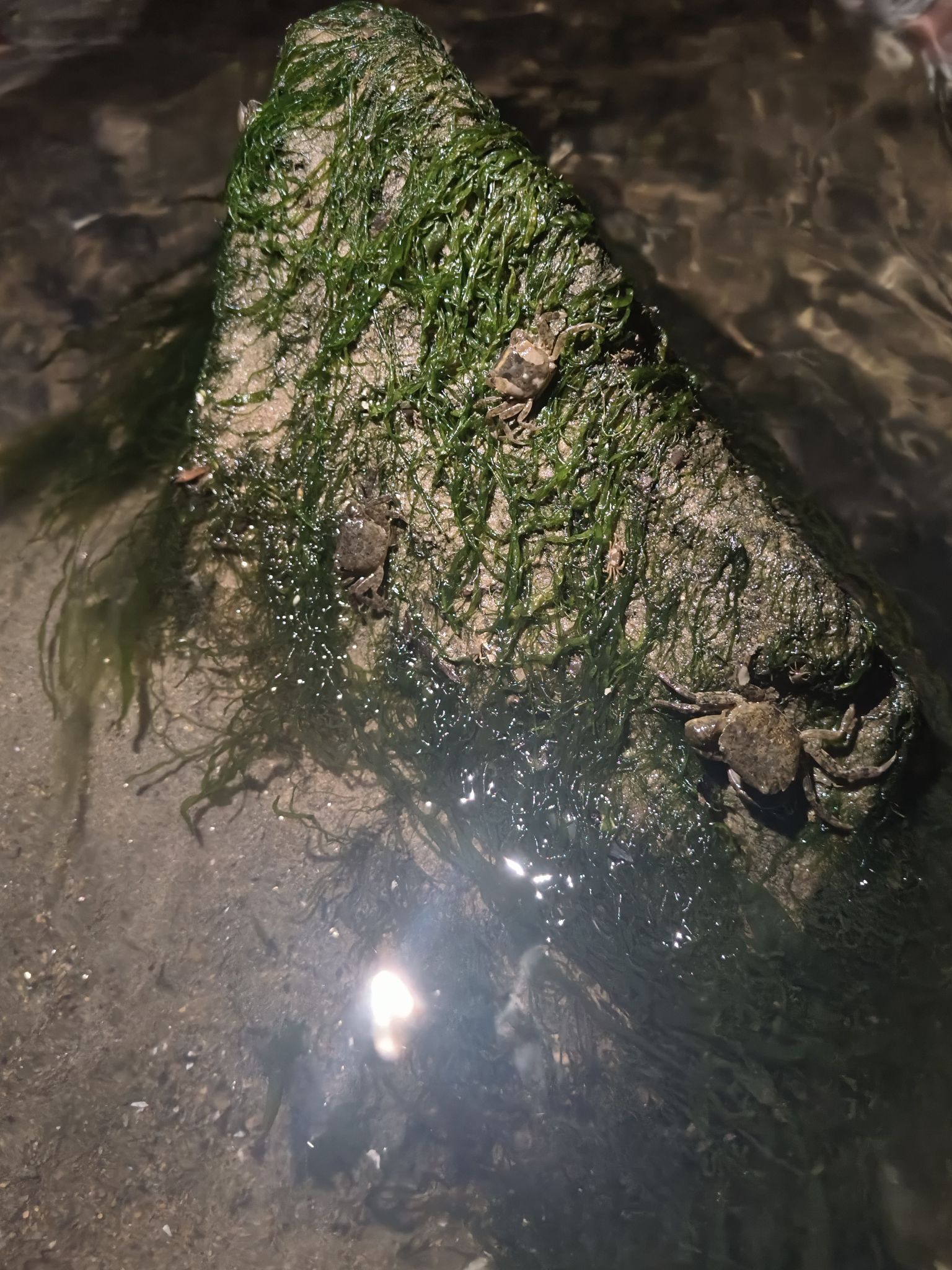 逛荡河绿地公园旅行图片 1