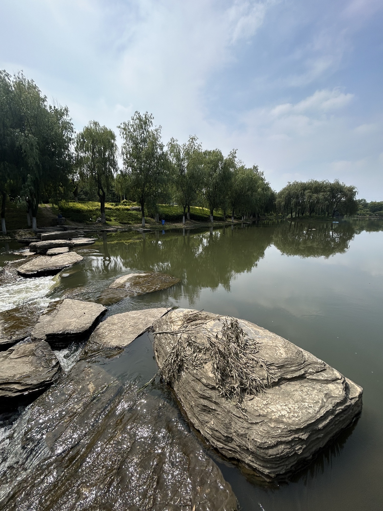 逛荡河绿地公园旅行图片 1