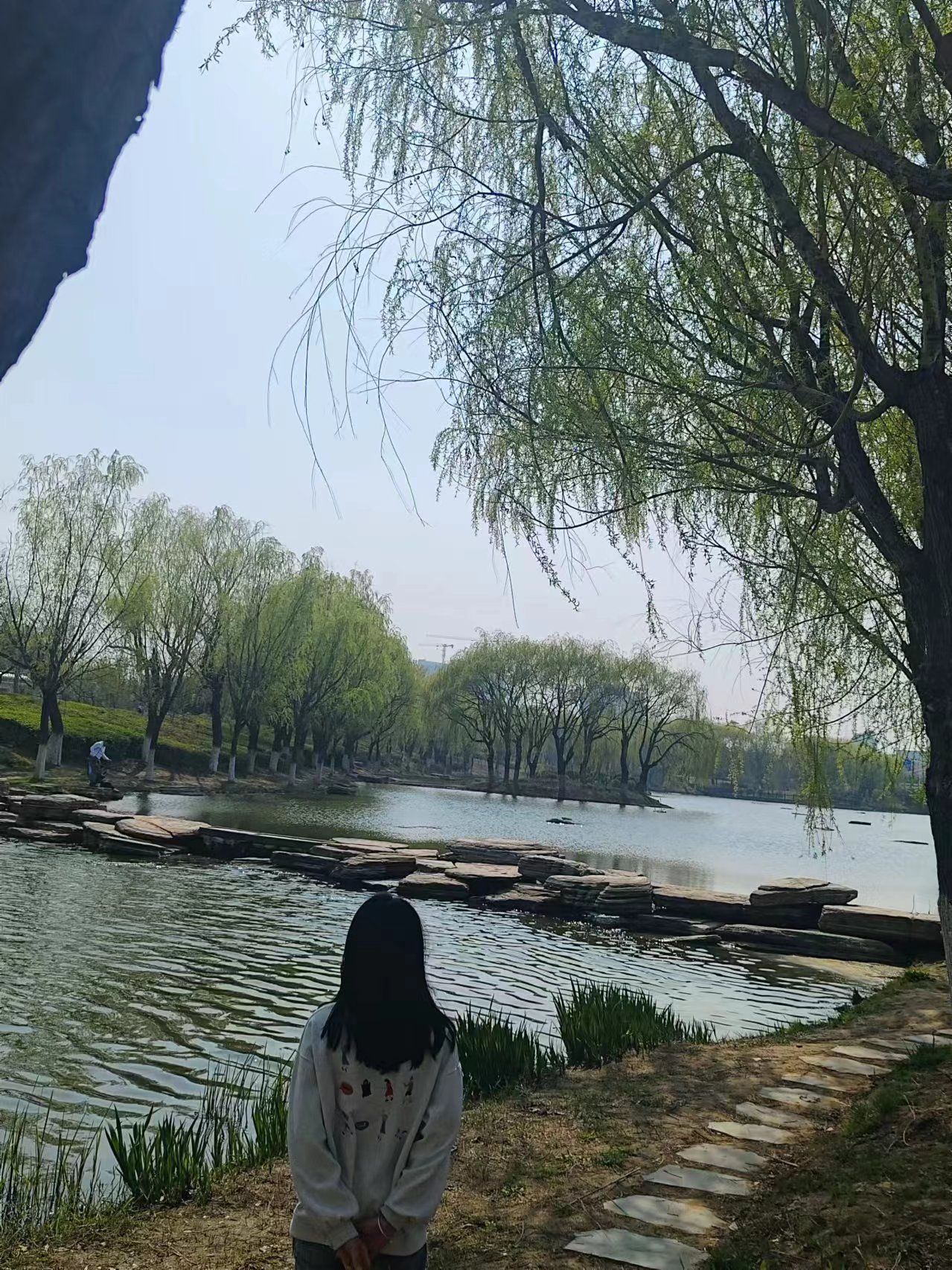 逛荡河绿地公园旅行图片 1