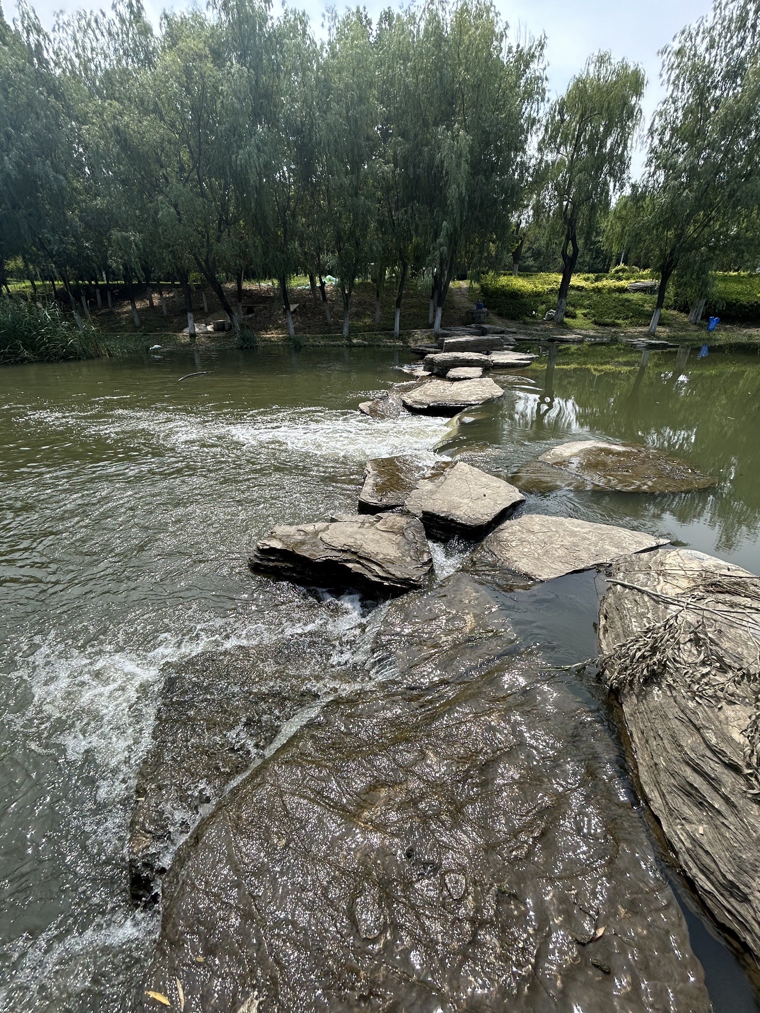 逛荡河绿地公园旅行图片 3