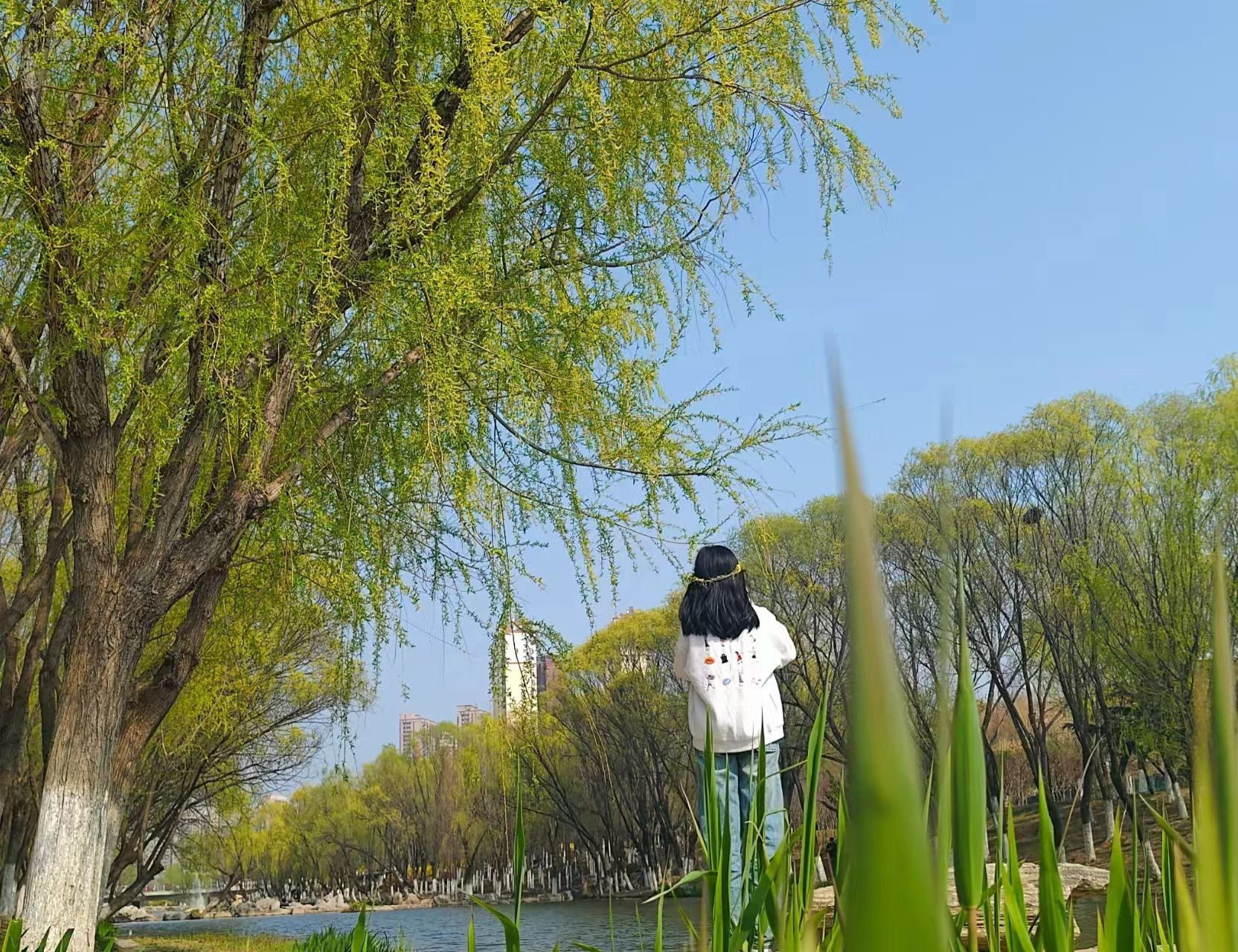 逛荡河绿地公园旅行图片 2