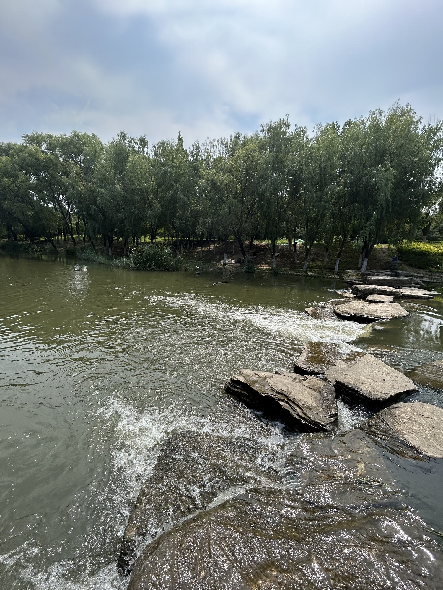 逛荡河绿地公园旅行图片 2