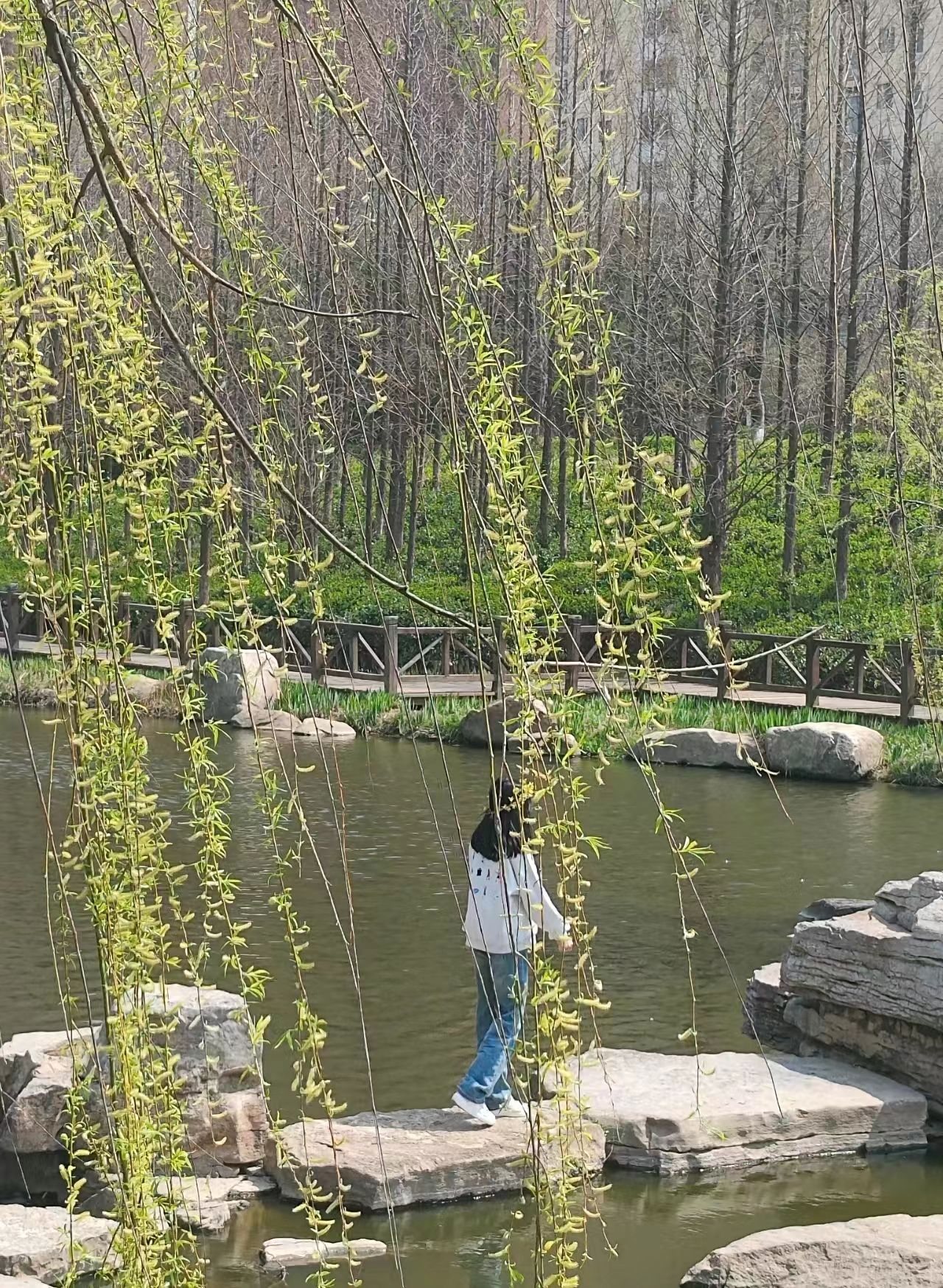 逛荡河绿地公园旅行图片 3