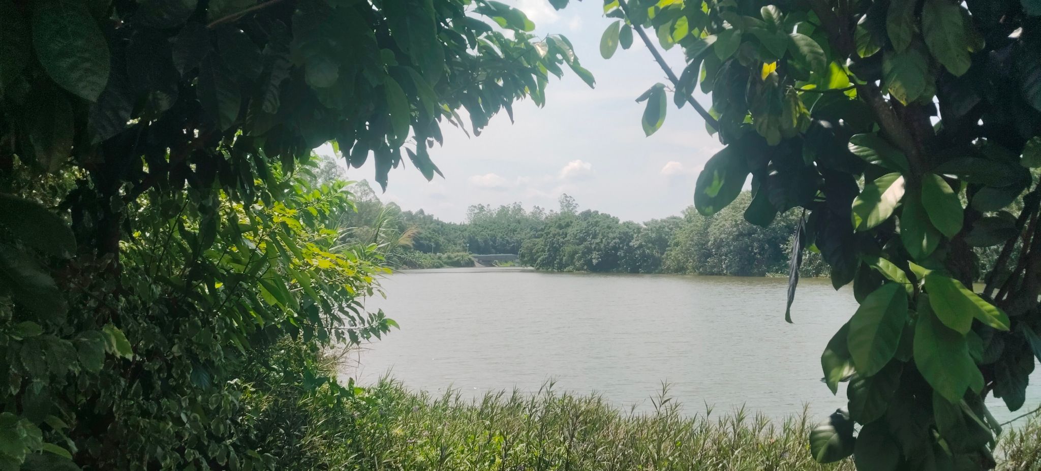 太平凤凰湖公园旅行图片 2