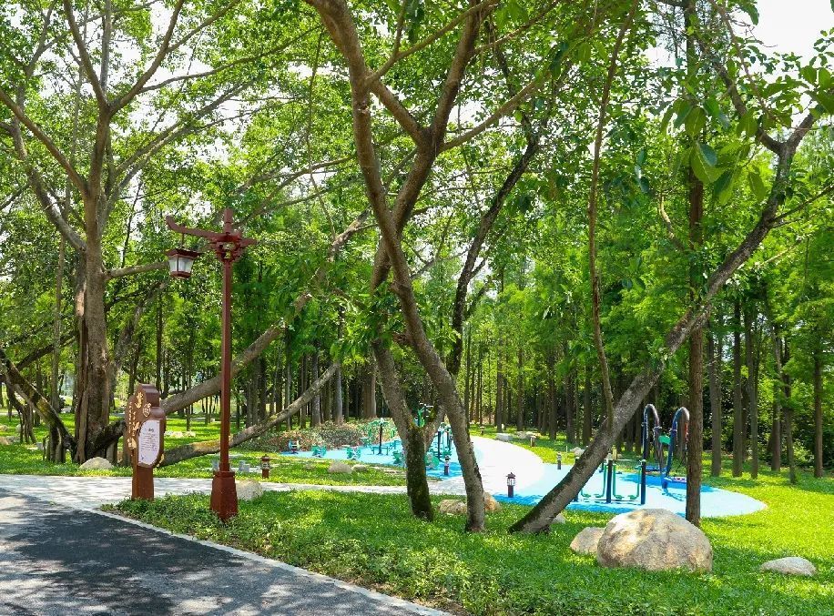 太平凤凰湖公园旅行图片 3