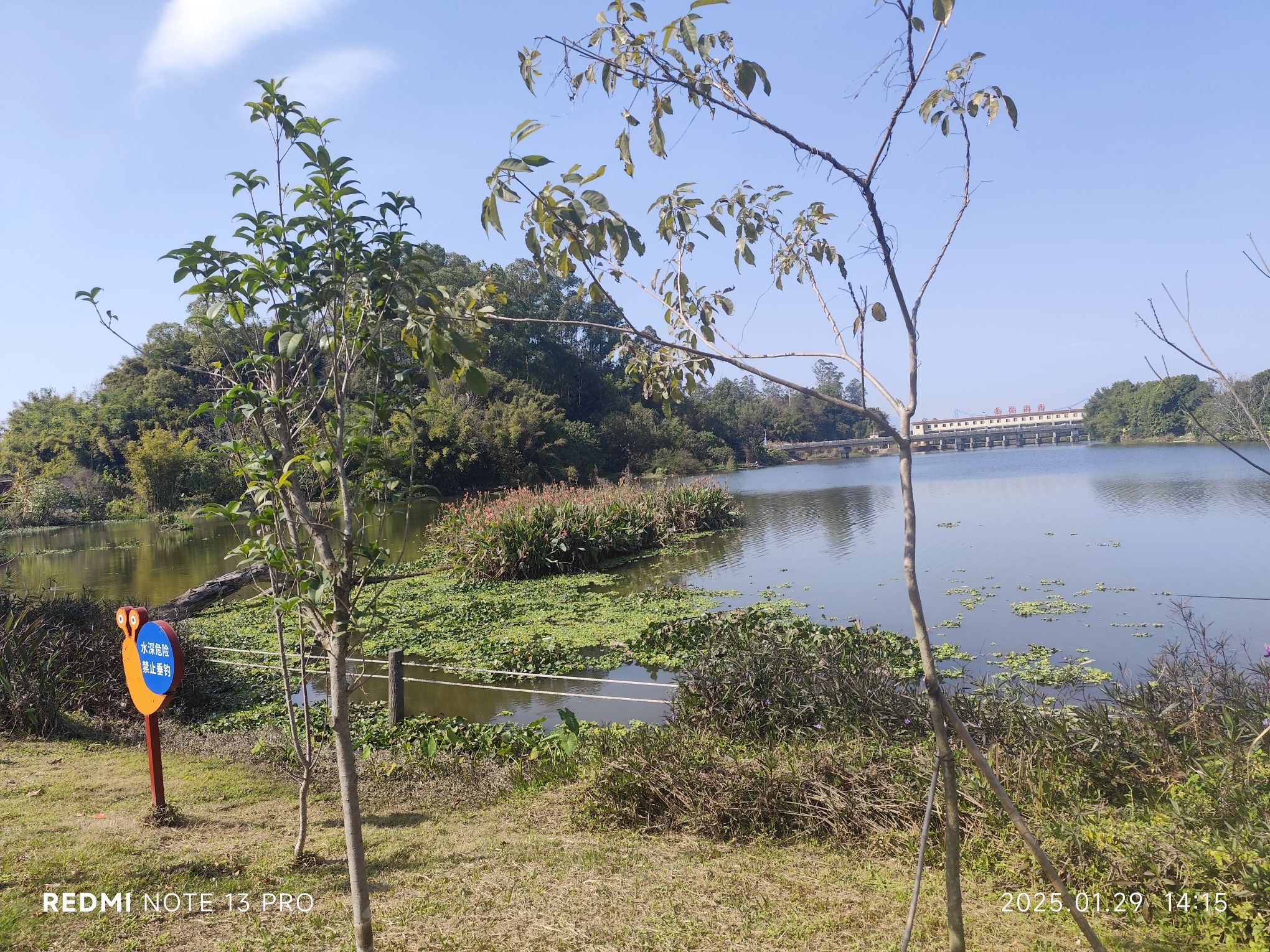 太平凤凰湖公园旅行图片 3