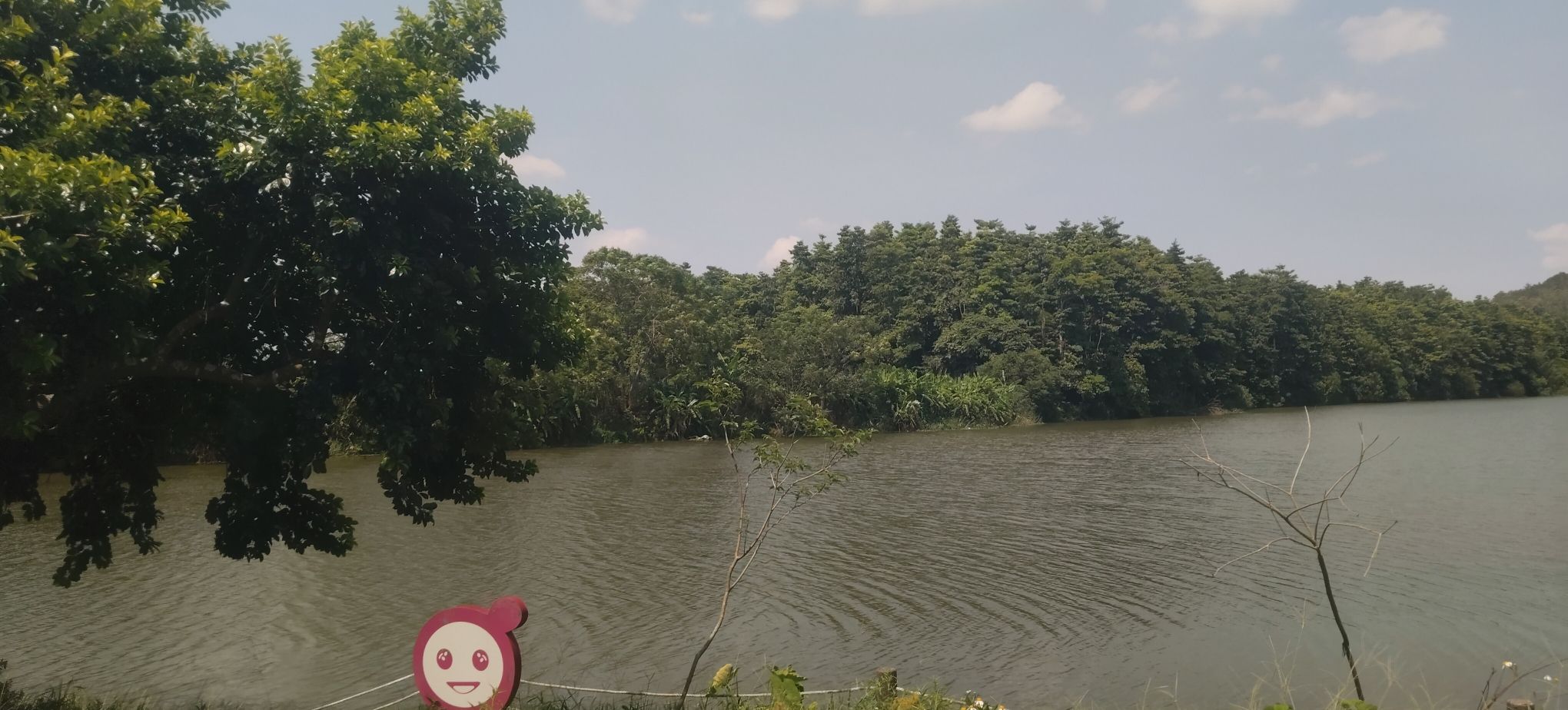 太平凤凰湖公园旅行图片 3