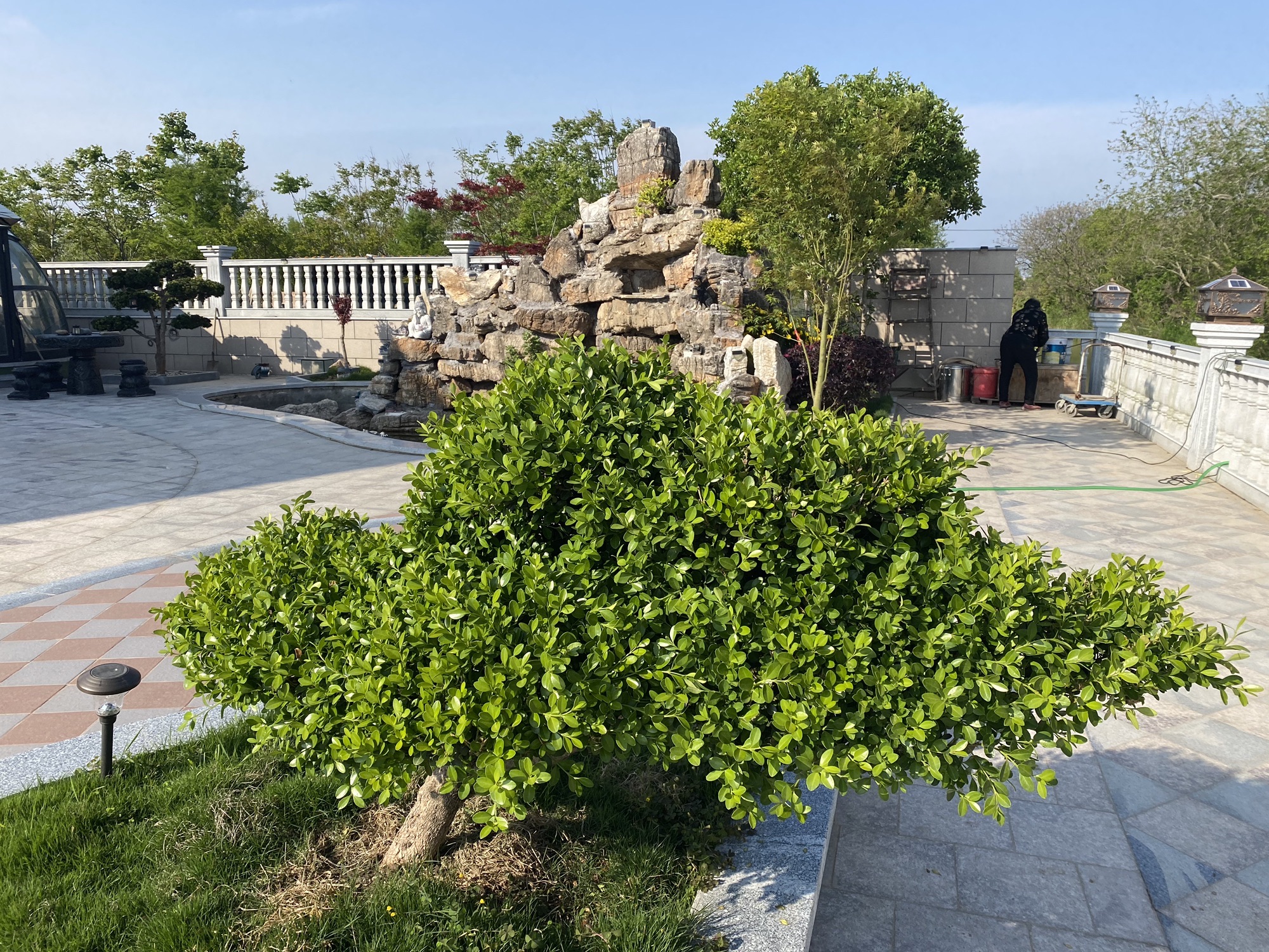 忠明亭旅行图片 3