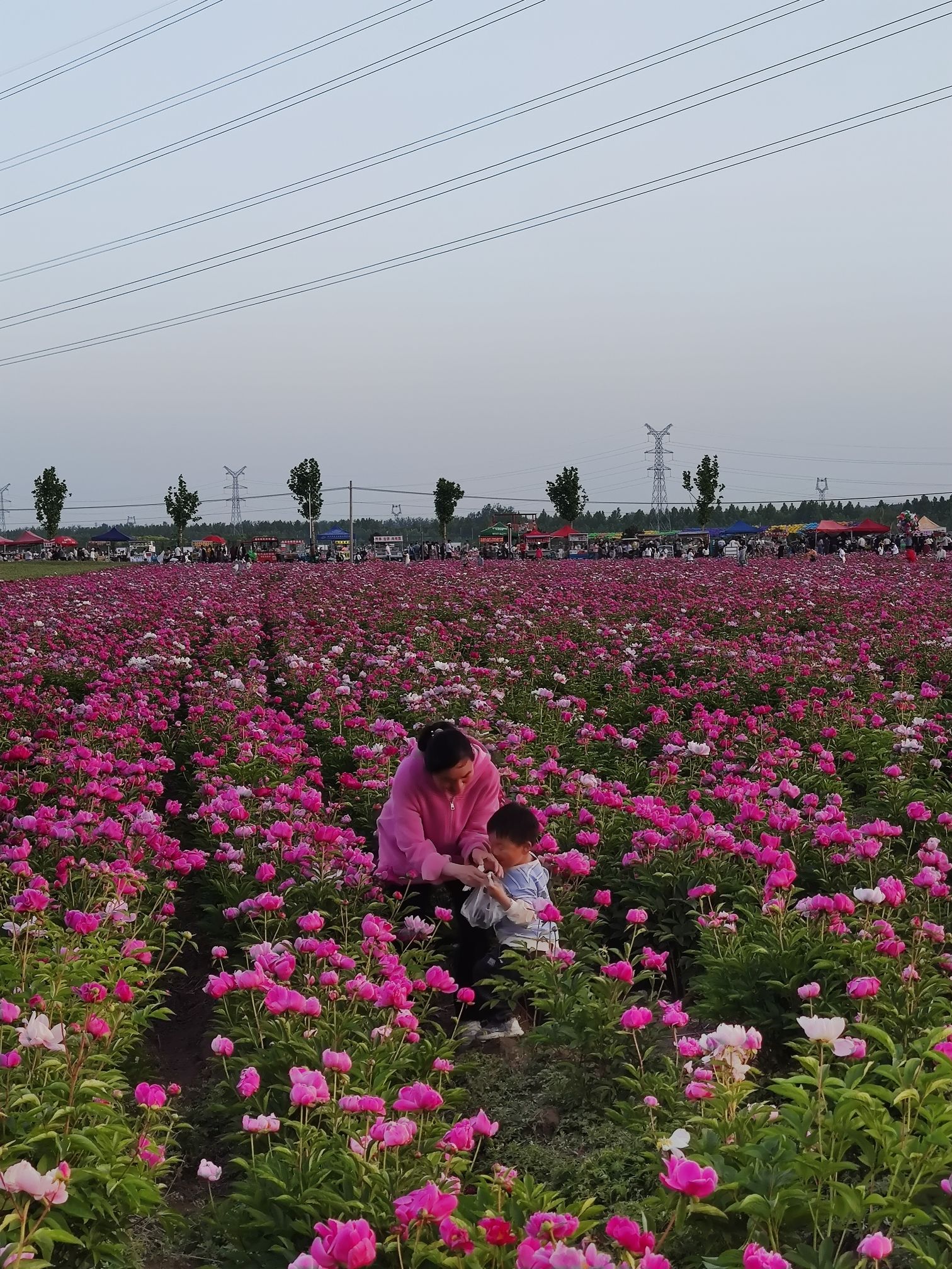 四季花海旅行图片 3