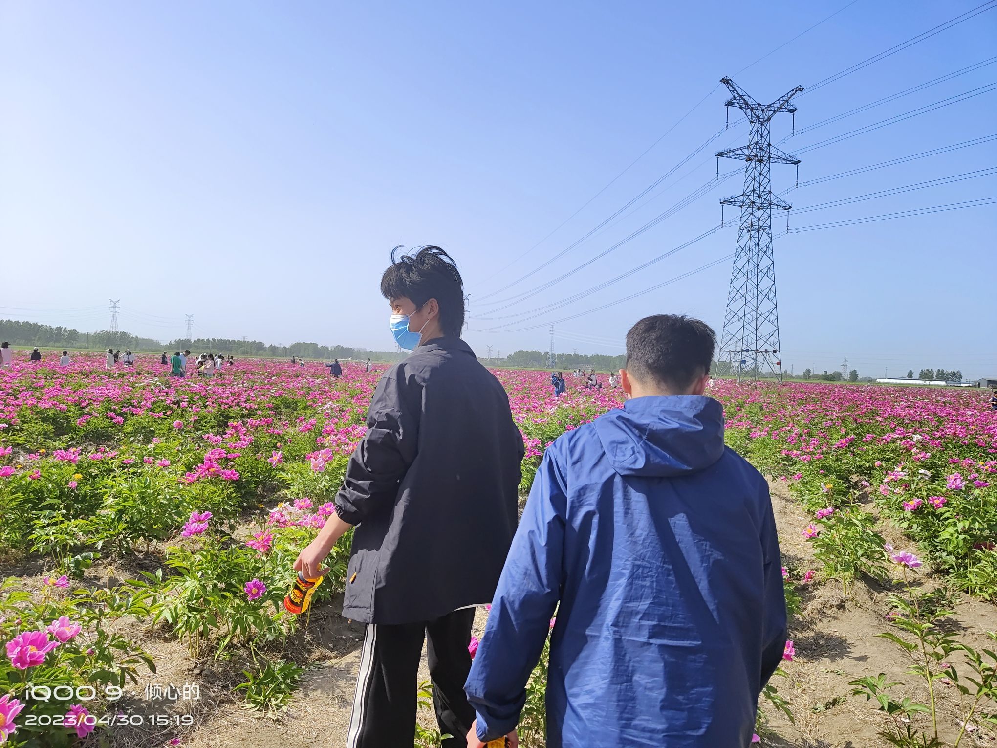 四季花海旅行图片 1
