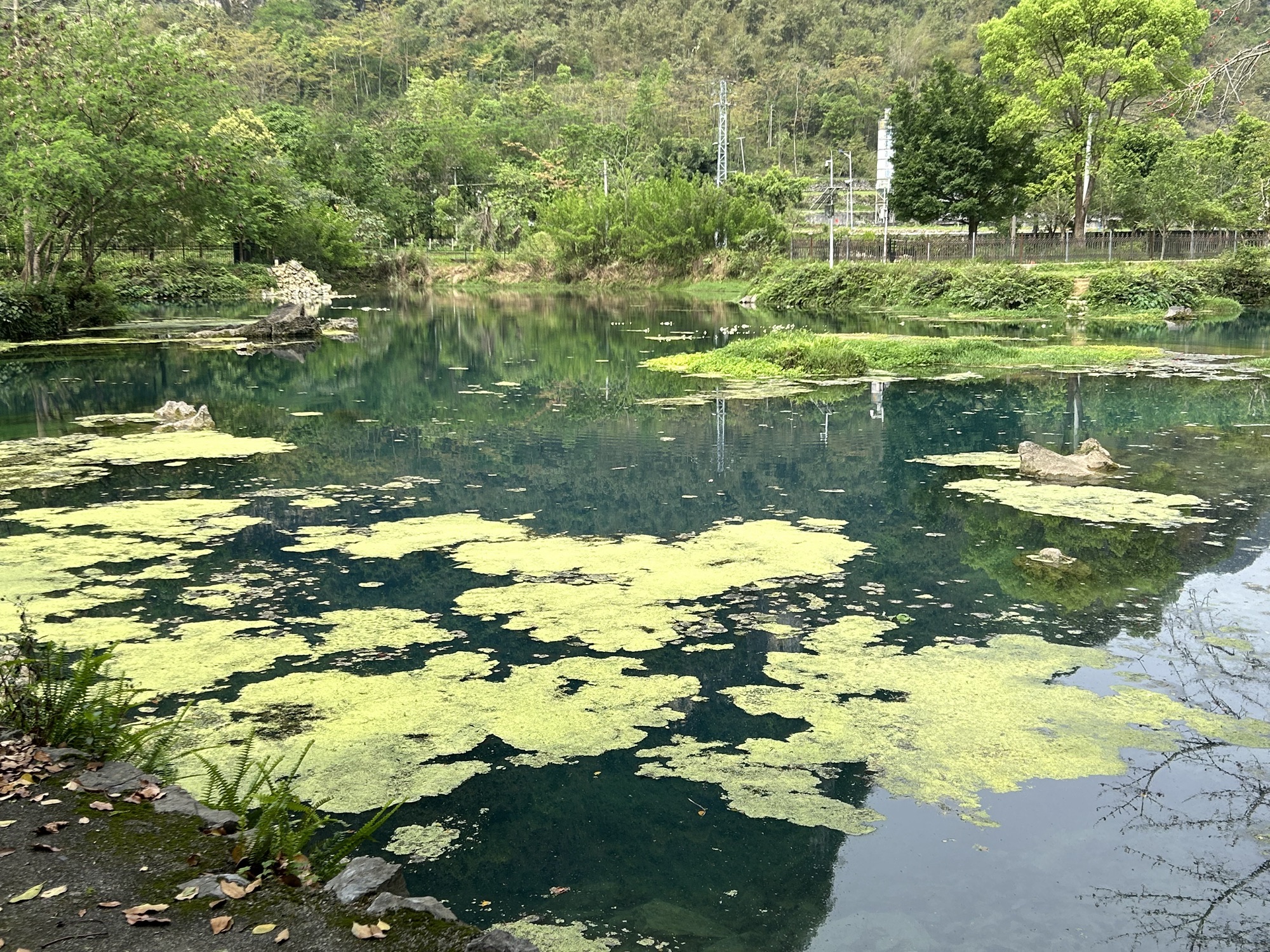 九顿溢流天窗群旅行图片 3