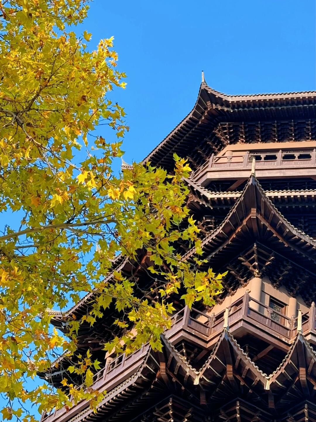 卧牛山旅游区(主景区)