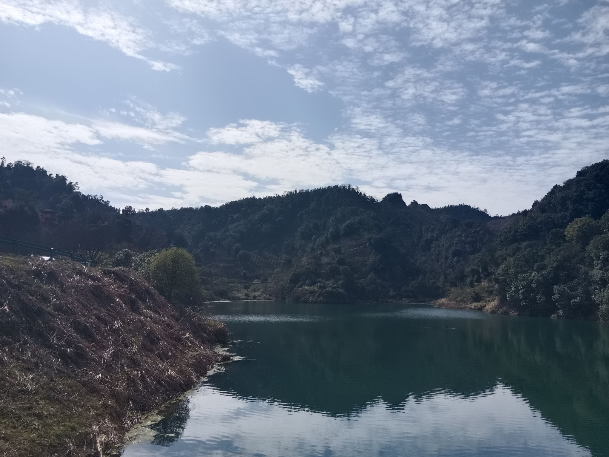阳光花海旅行图片 2