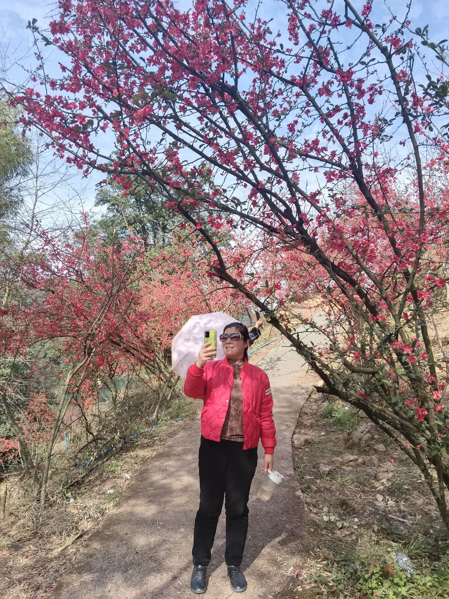 阳光花海旅行图片 3