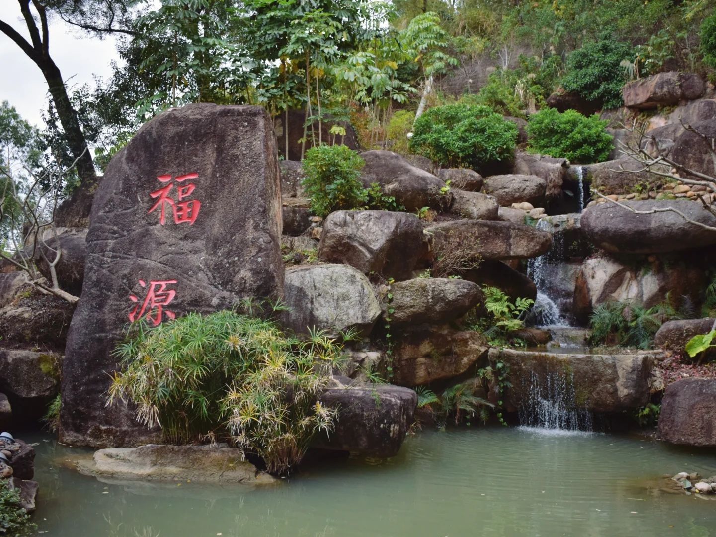 福山郊野公园旅行图片 3