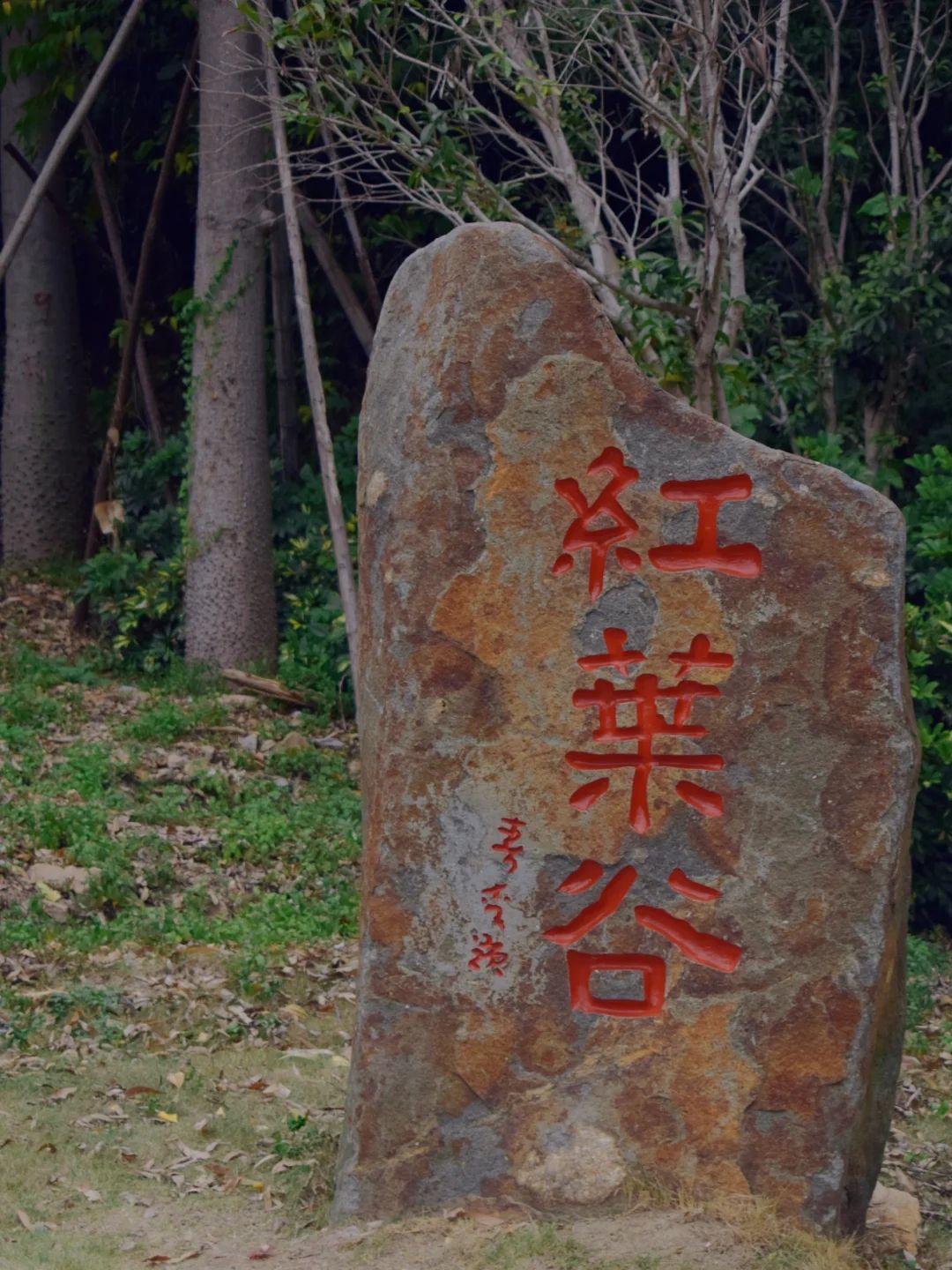 福山郊野公园旅行图片 2