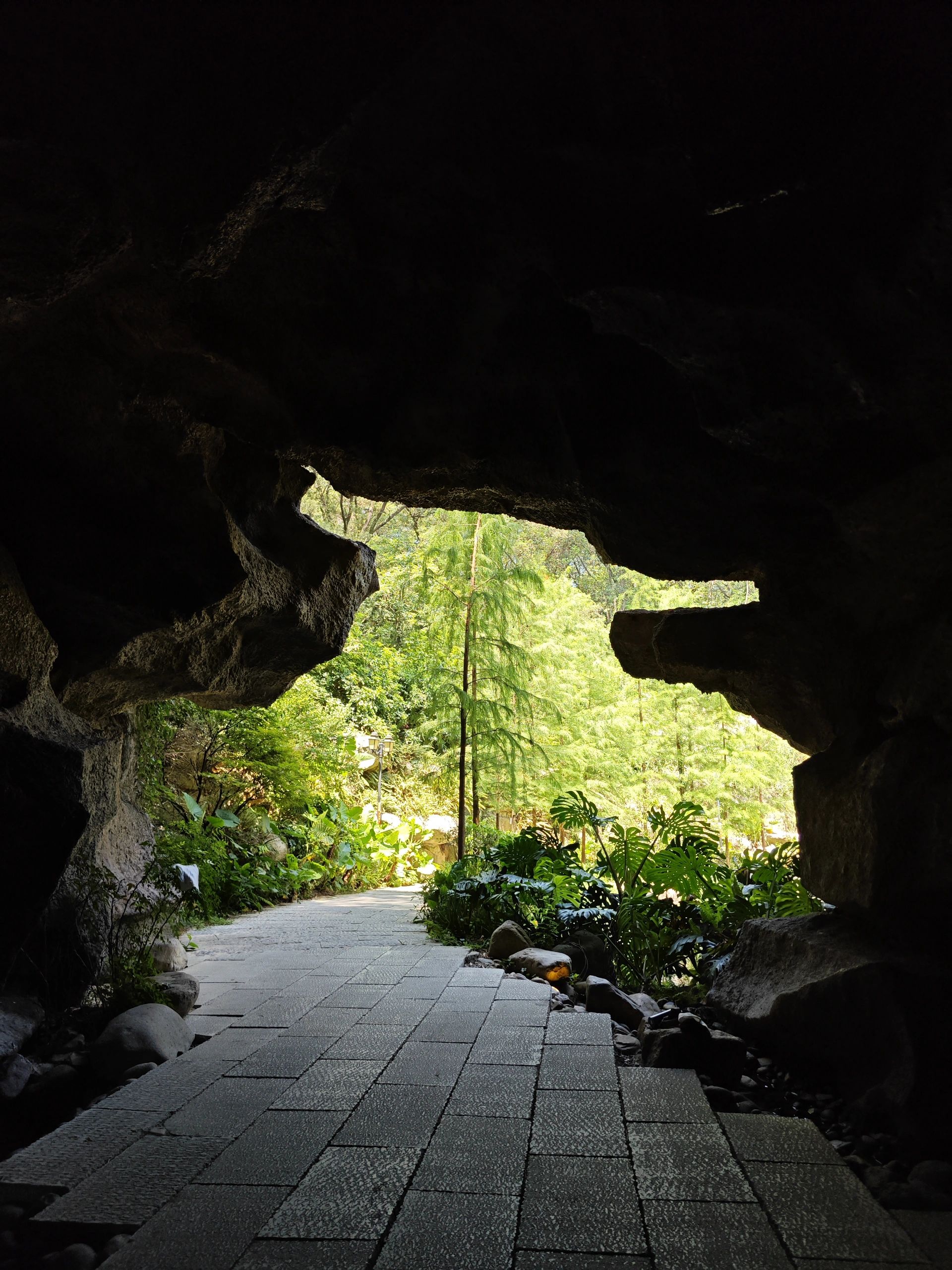 福山郊野公园旅行图片 2