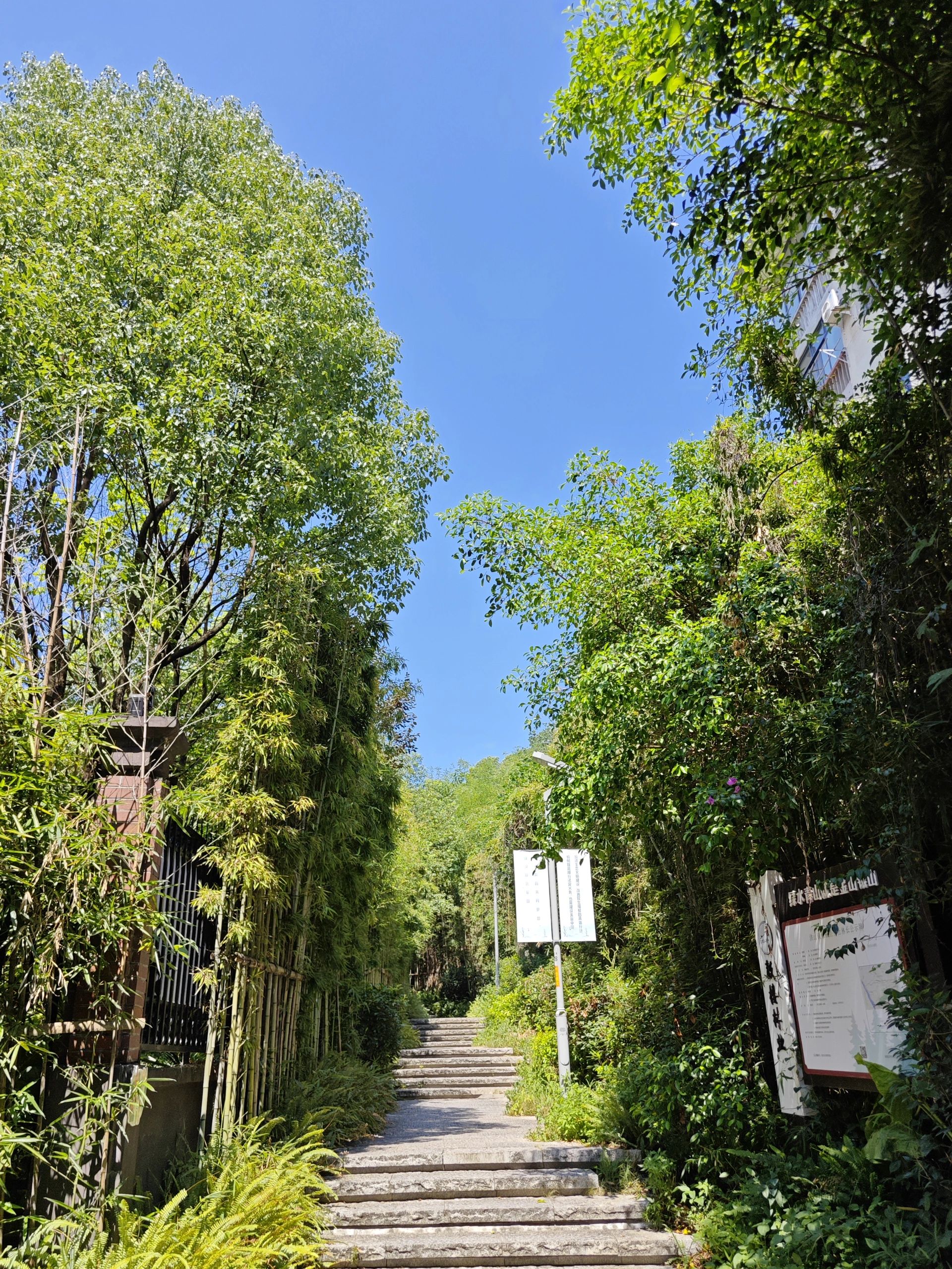 福山郊野公园旅行图片 3
