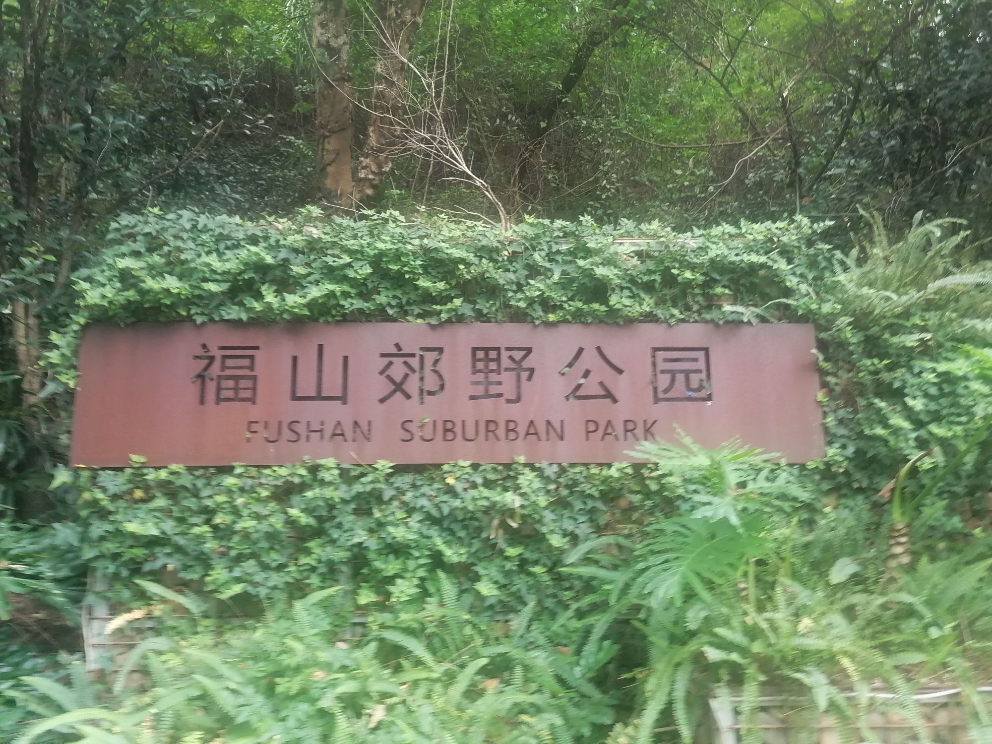 福山郊野公园旅行图片 1