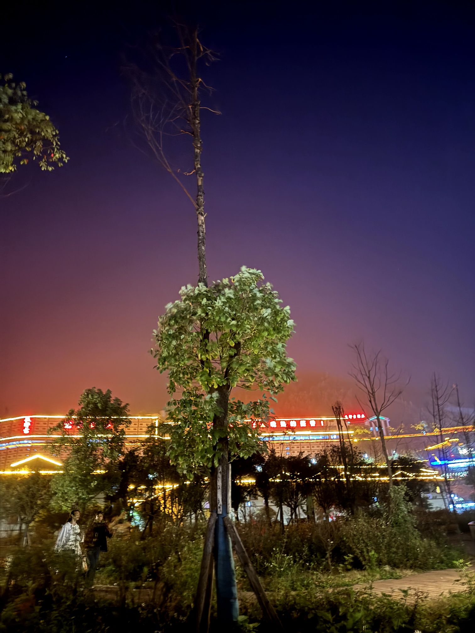 夜郎酒谷景区旅行图片 1