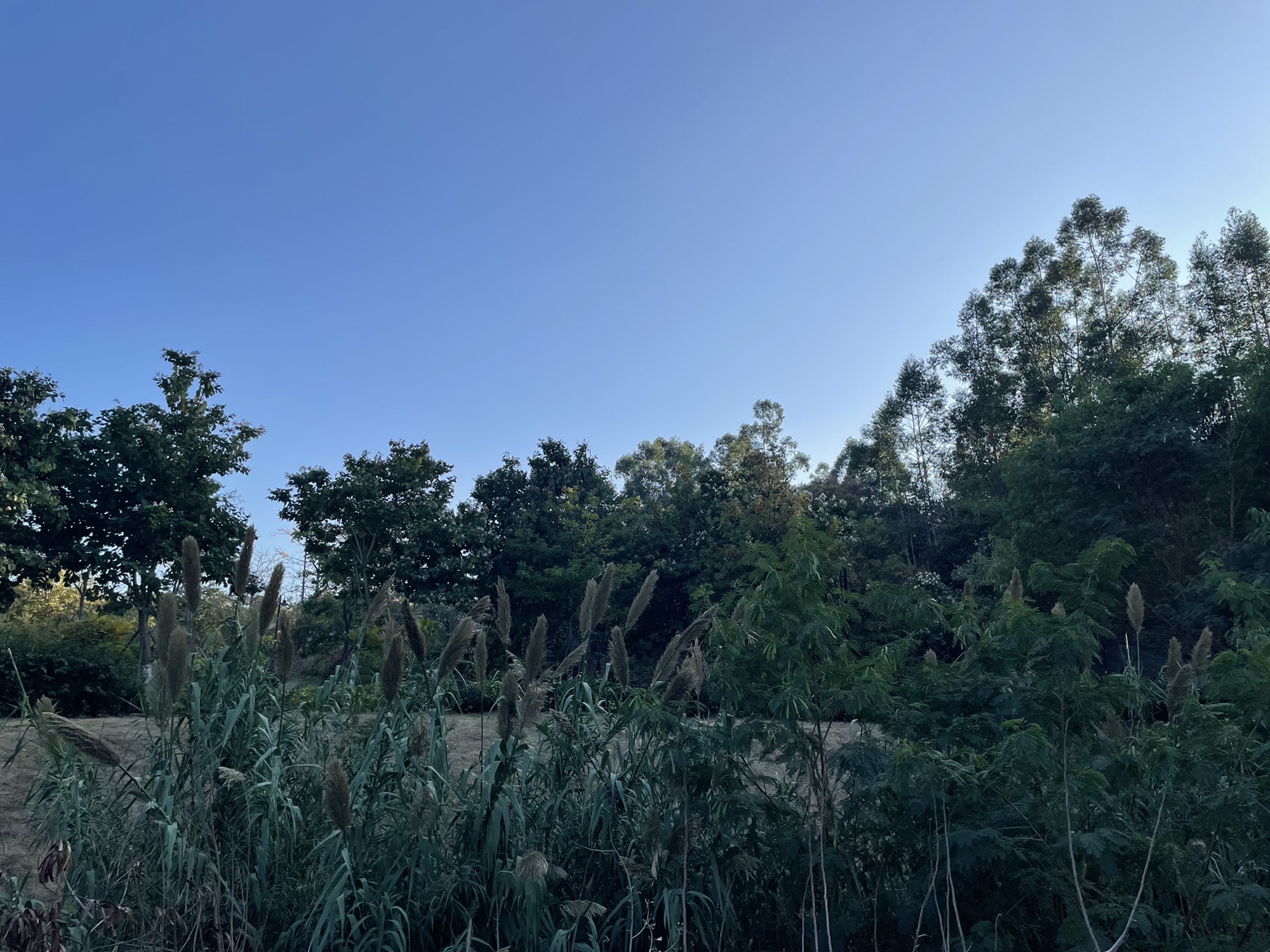 风炉山公园旅行图片 3