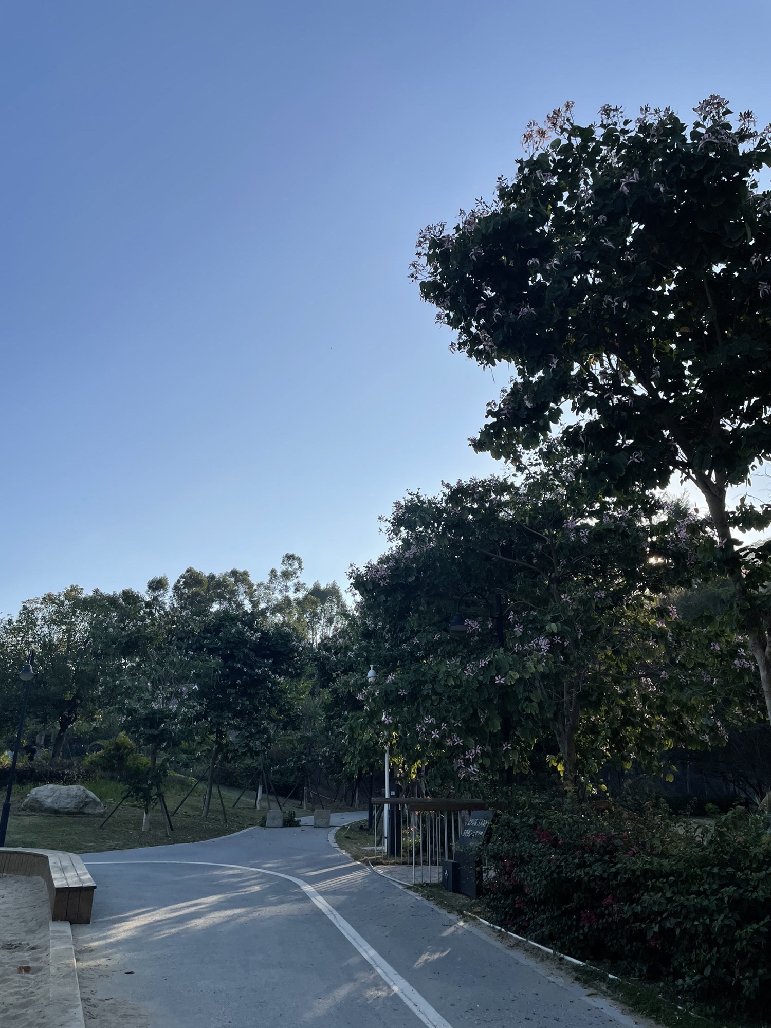 风炉山公园旅行图片 1