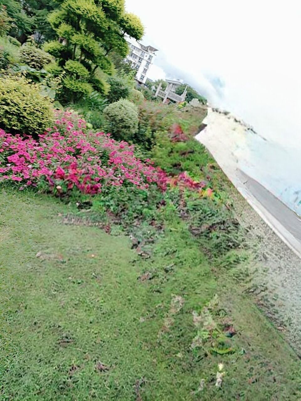 风炉山公园旅行图片 3