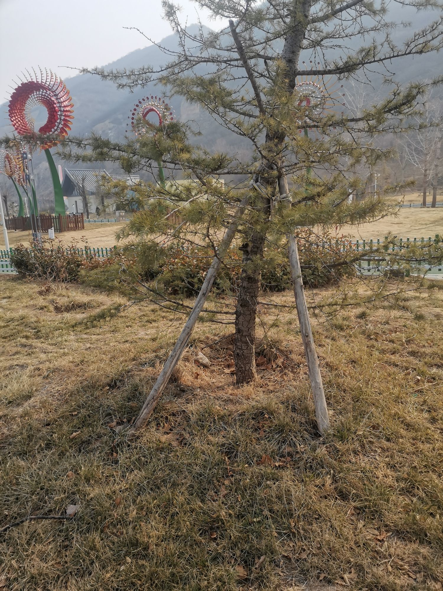 南山新境市民广场生态体育公园旅行图片 2