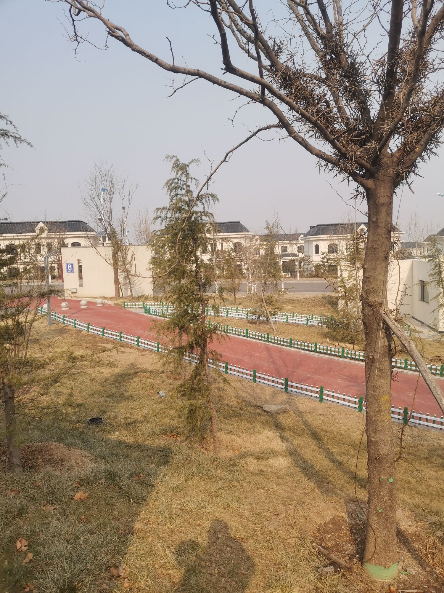 南山新境市民广场生态体育公园