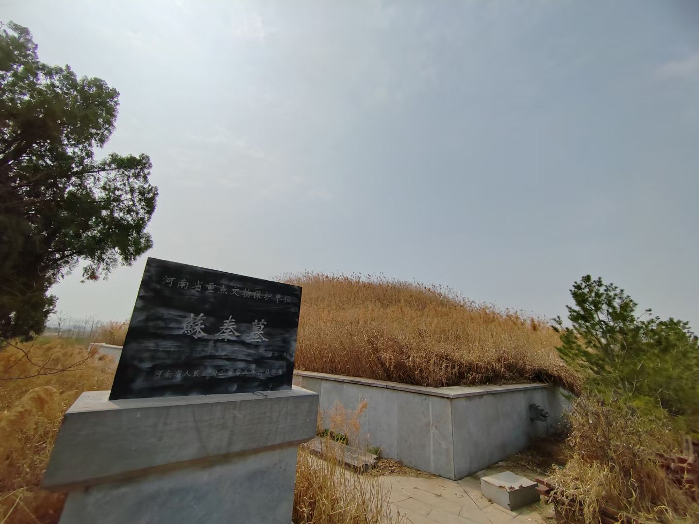 苏秦墓旅行图片 3