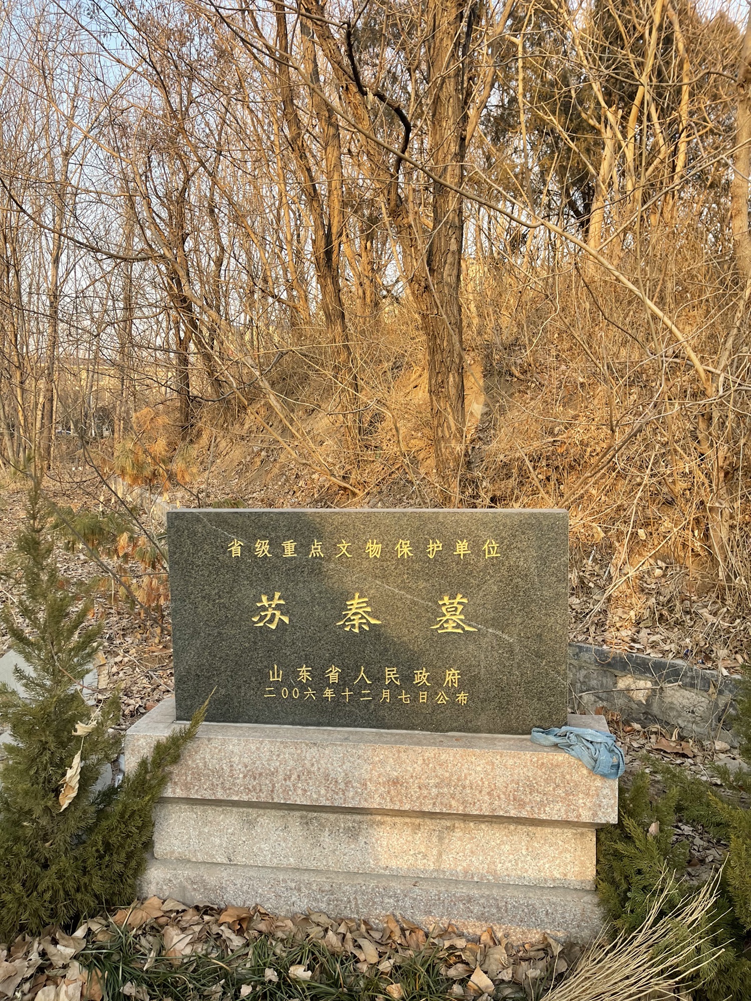 苏秦墓旅行图片 1