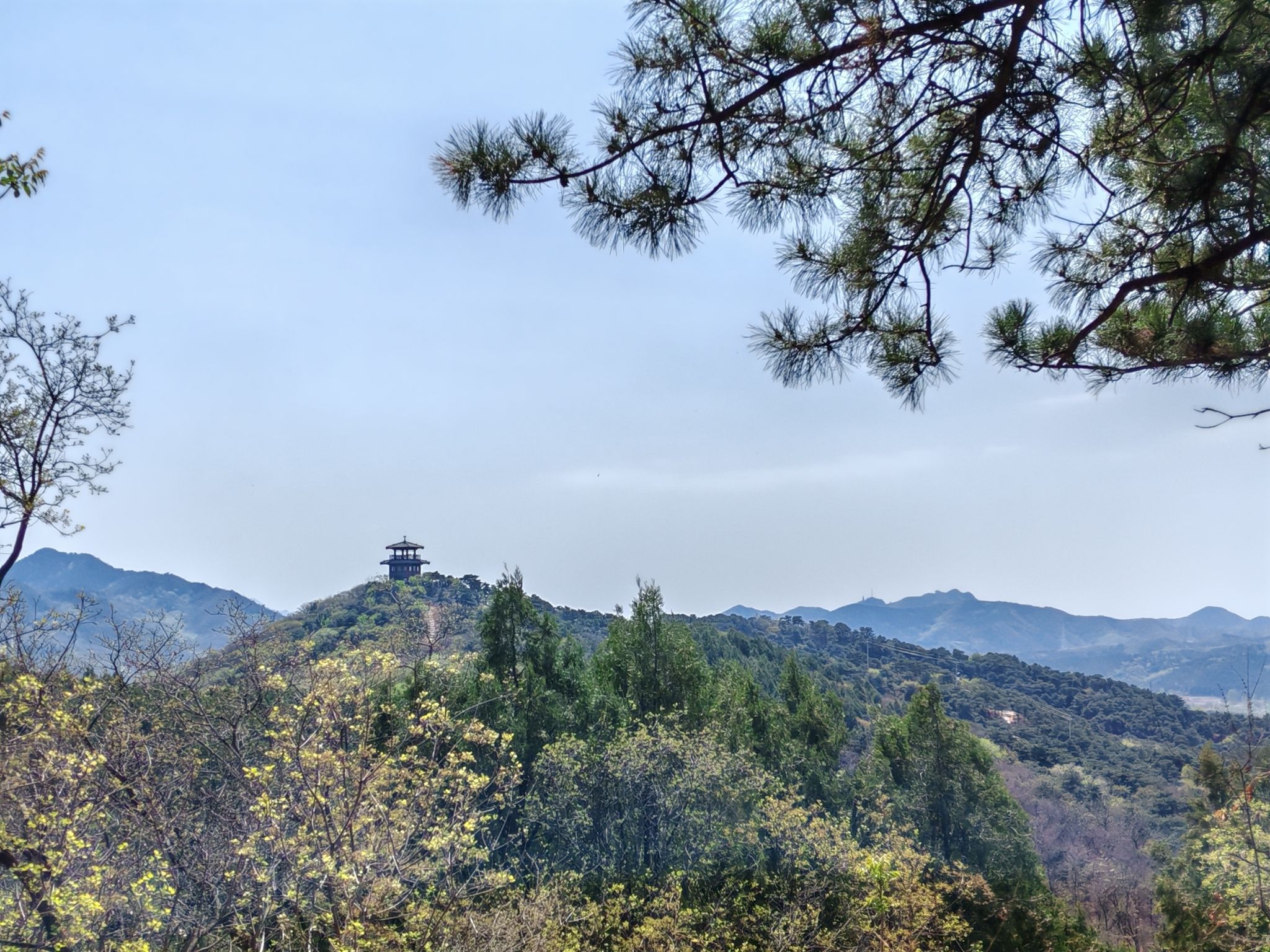 大石山森林公园旅行图片 2
