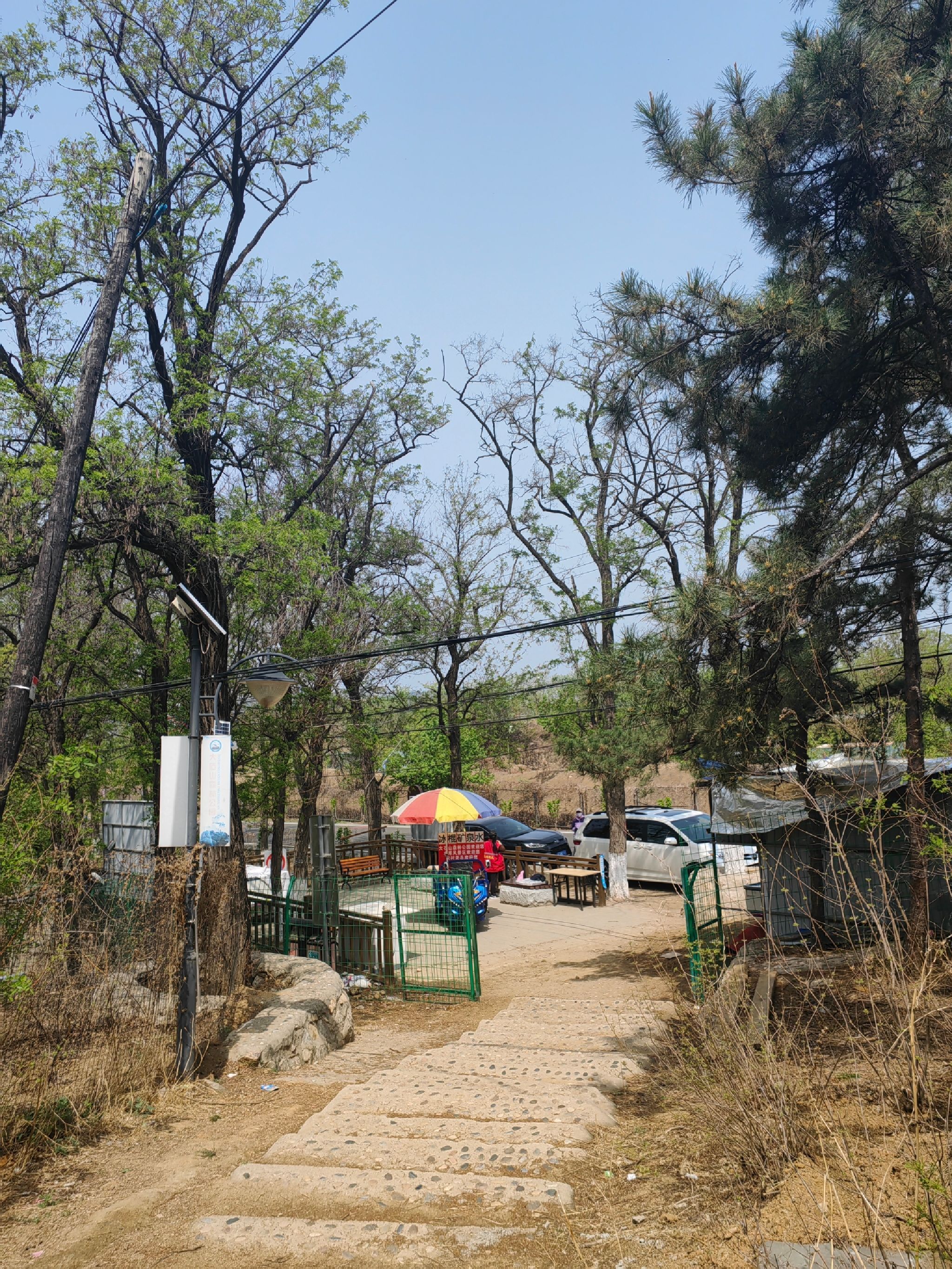 大石山森林公园旅行图片 1