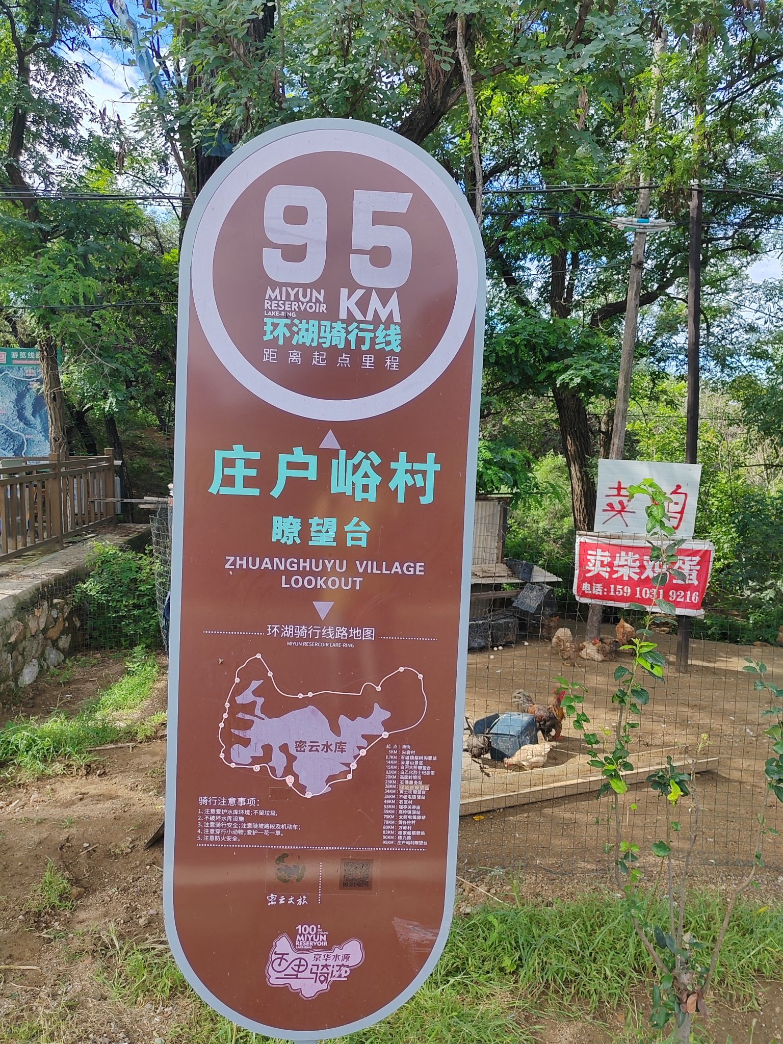 大石山森林公园旅行图片 1