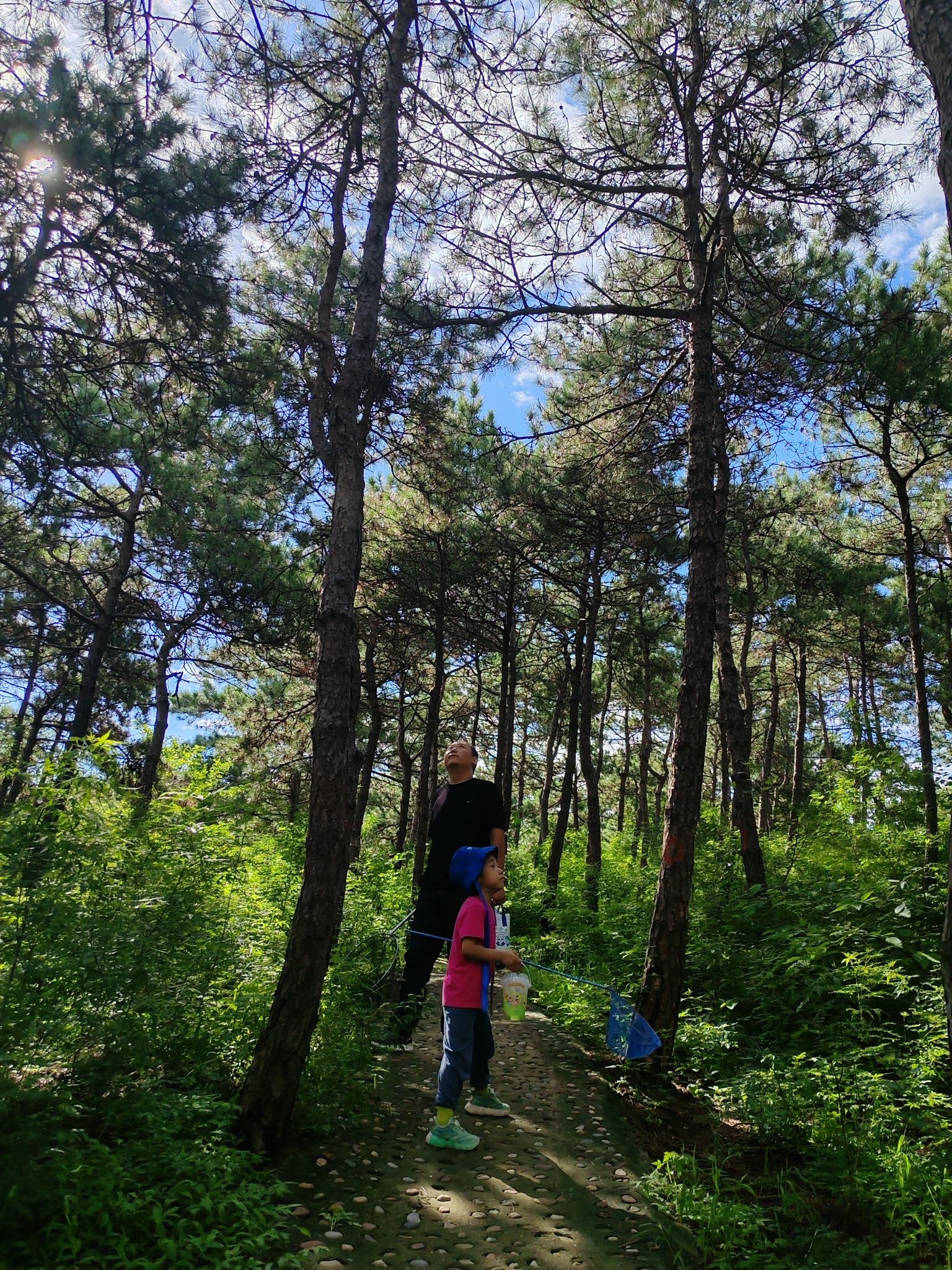 大石山森林公园旅行图片 3