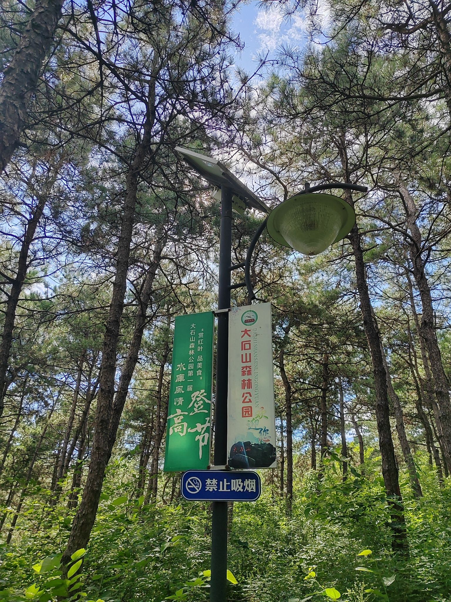 大石山森林公园旅行图片 2