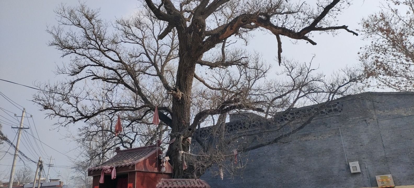 胡坦村古槐神庙