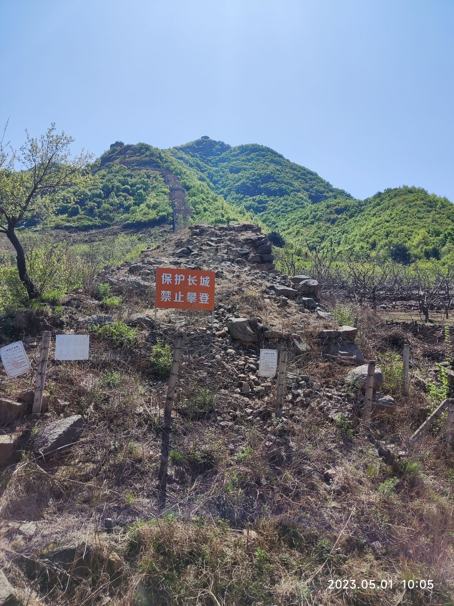 蔓枝草长城旅行图片 2