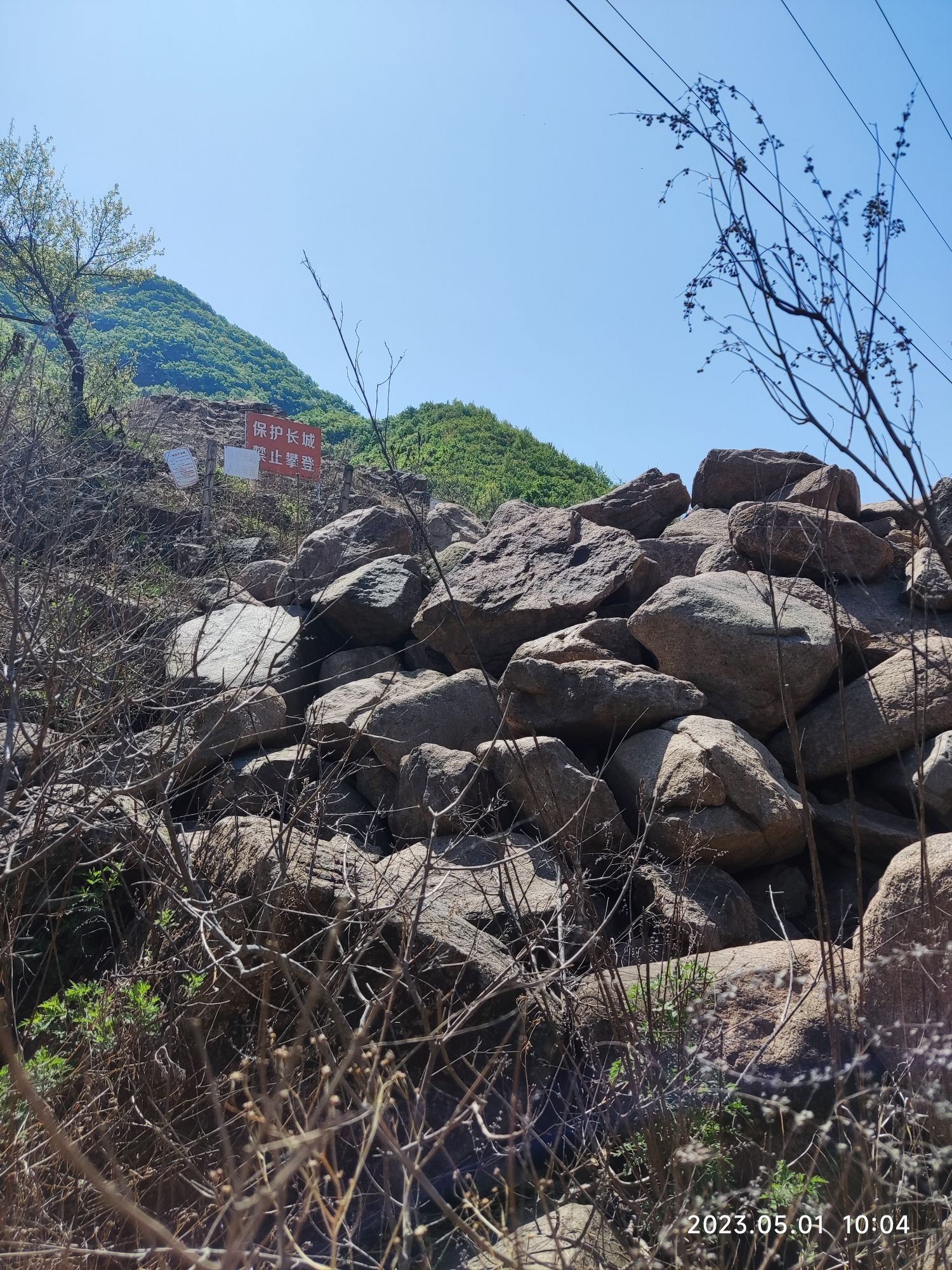蔓枝草长城旅行图片 3