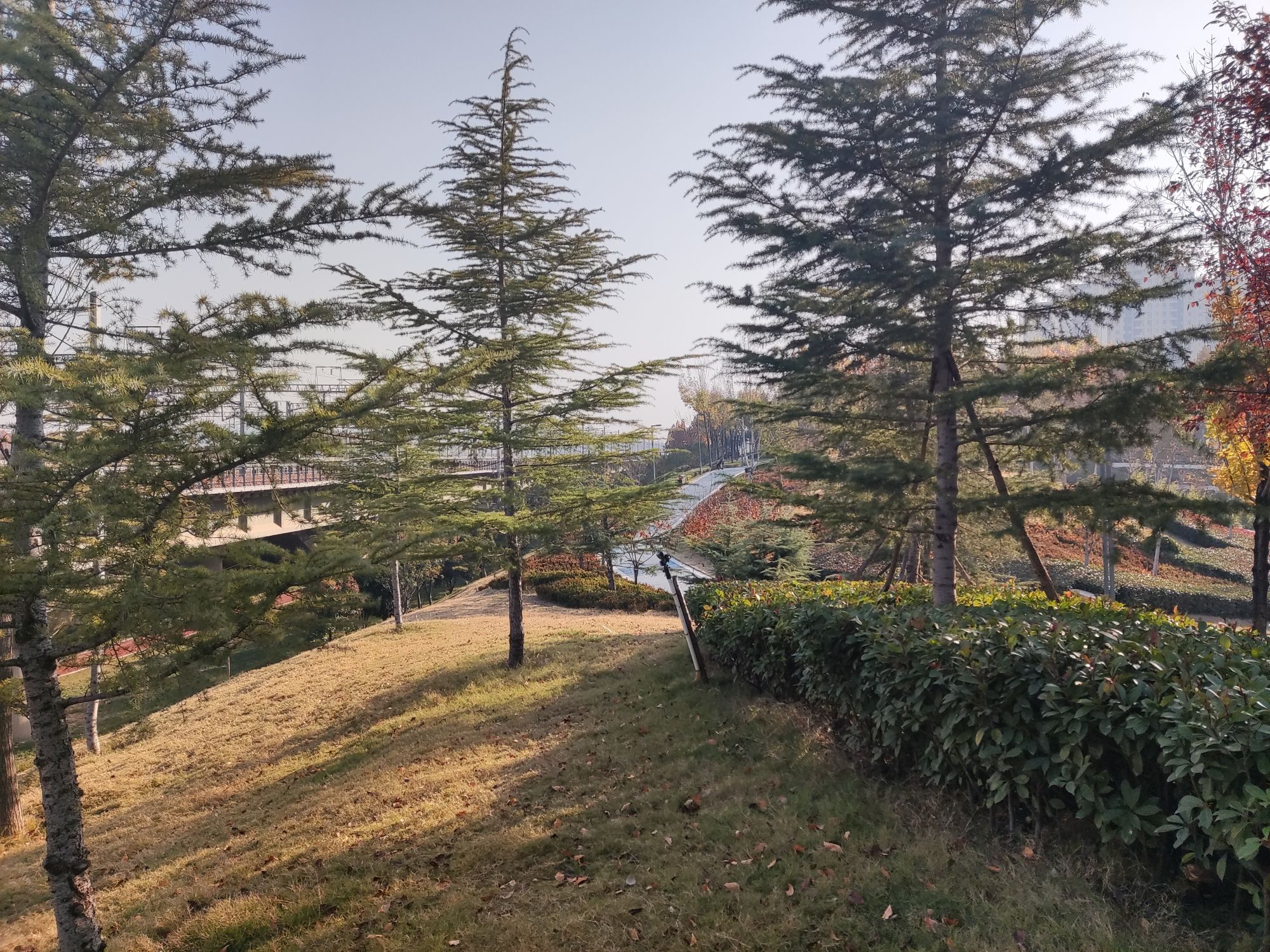梦翔园公园旅行图片 2