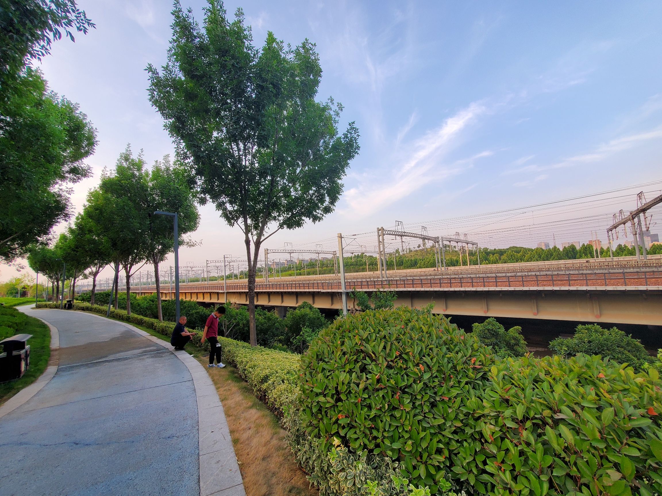 梦翔园公园旅行图片 2