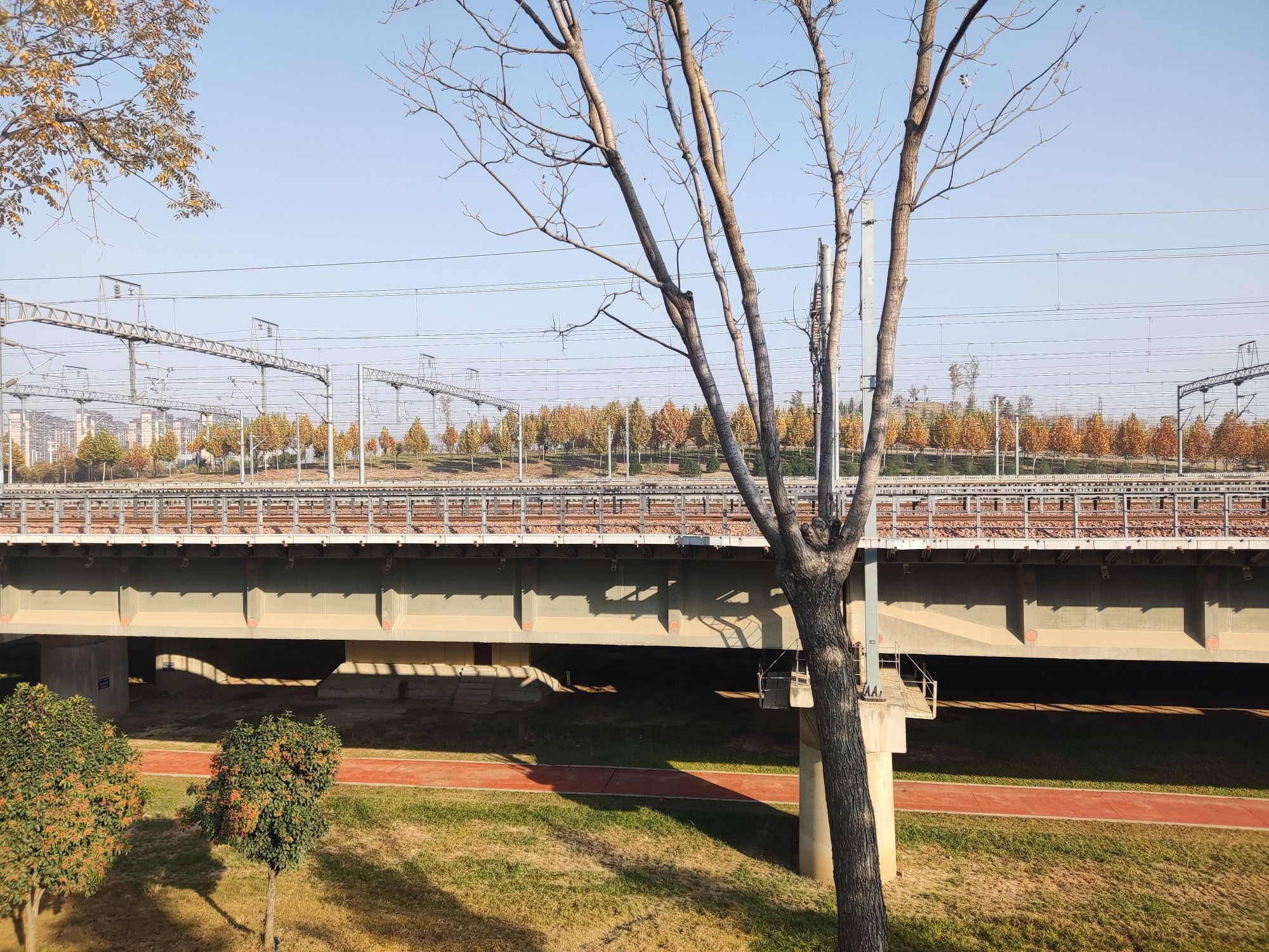 梦翔园公园旅行图片 1
