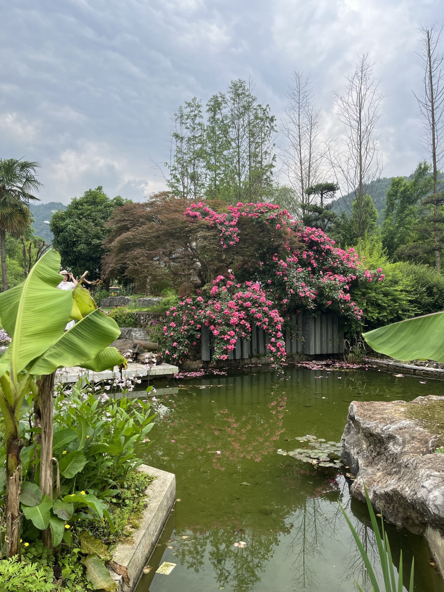 水湄花谷旅行图片 1