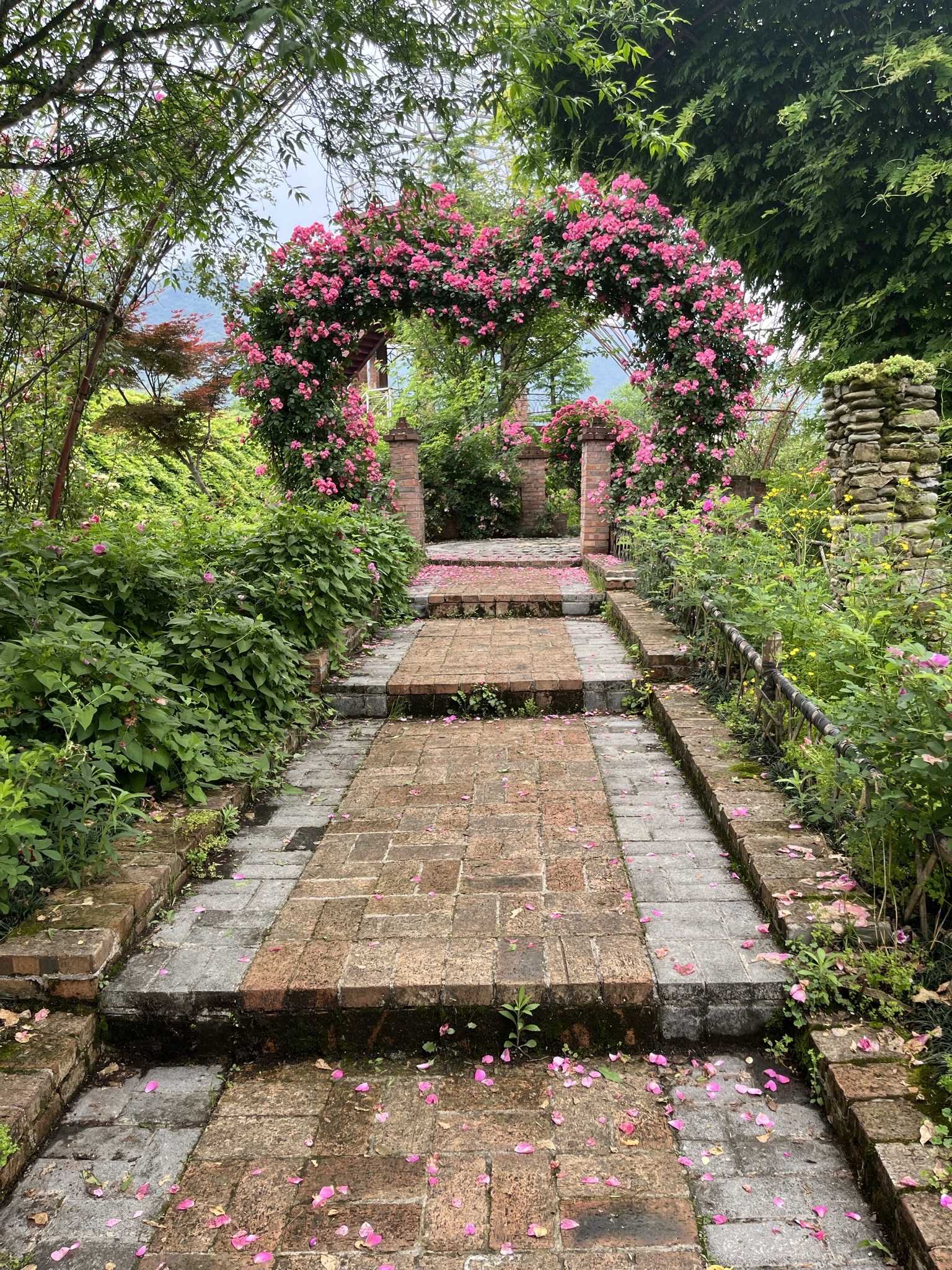 水湄花谷旅行图片 3