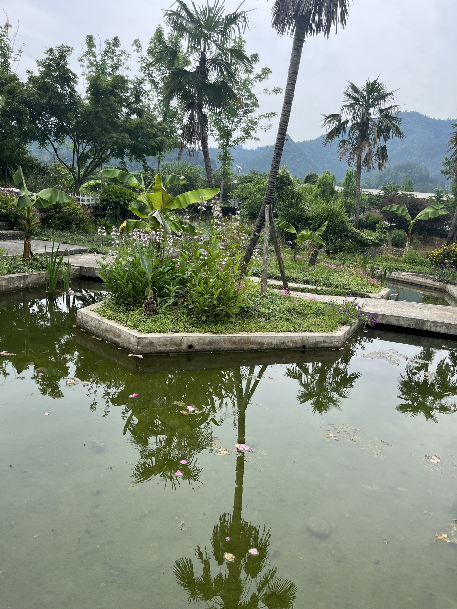 水湄花谷旅行图片 2