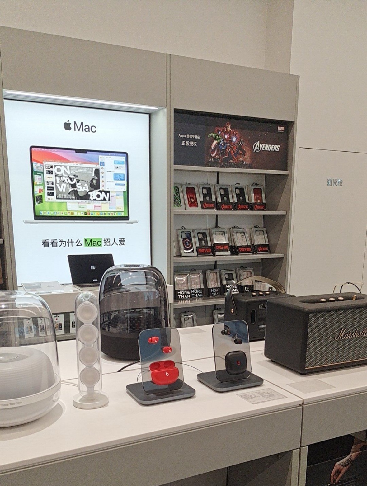 Apple授权专营店(泰山区吾悦店)