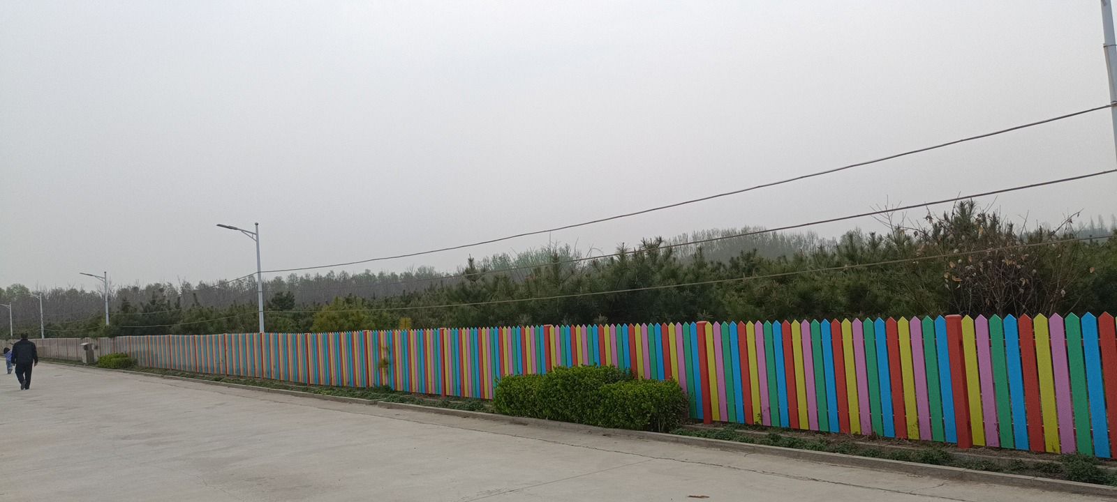 荆东小镇动物园(暂停开放)旅行图片 2