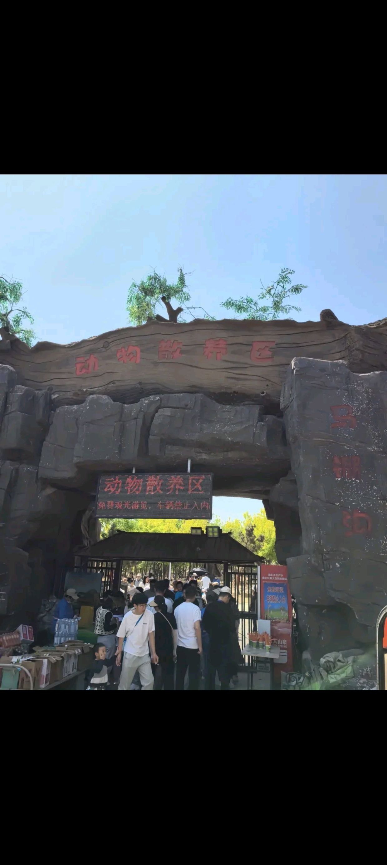 荆东小镇动物园(暂停开放)旅行图片 1