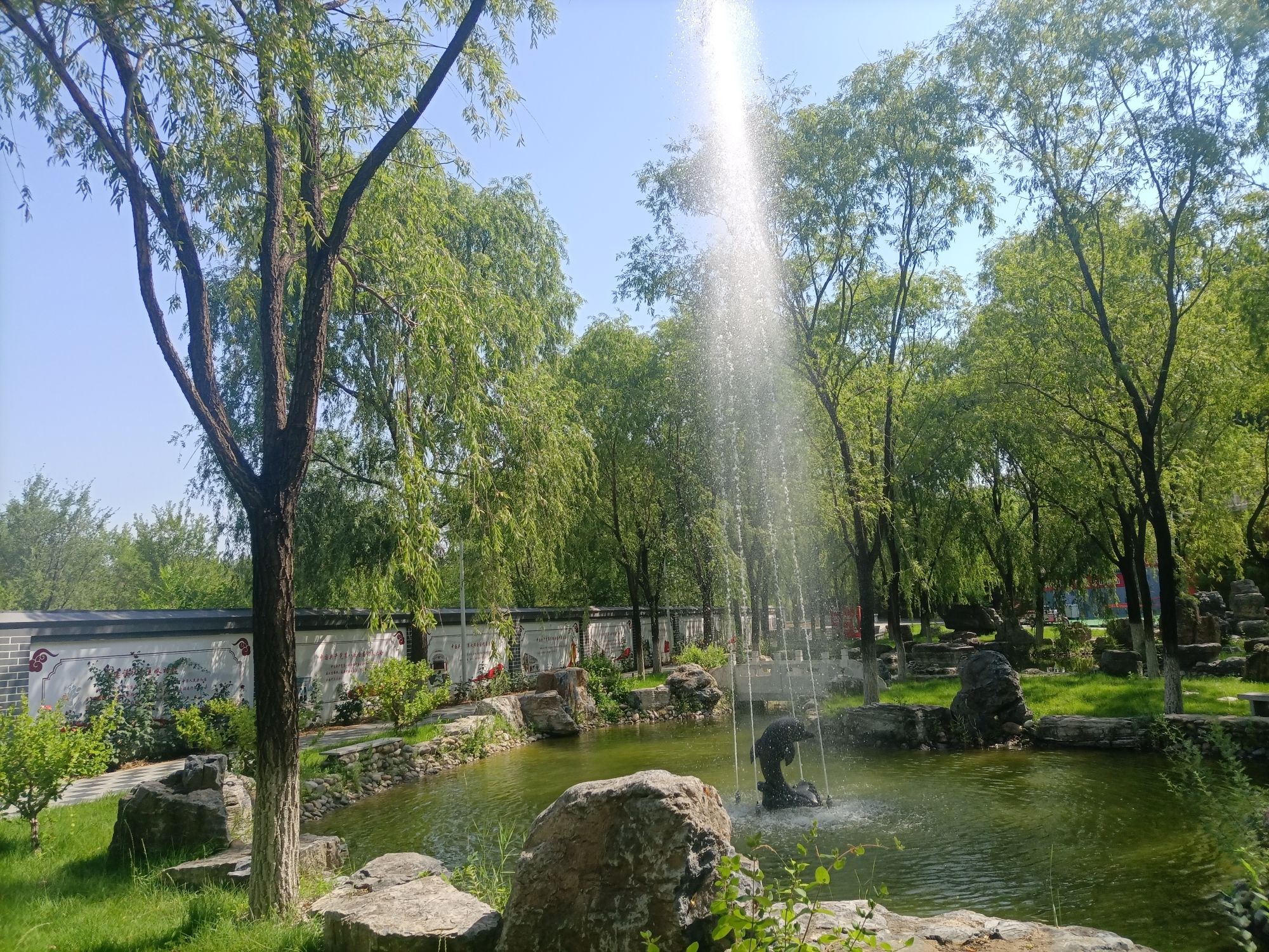 千青爱草仙龙园旅行图片 2